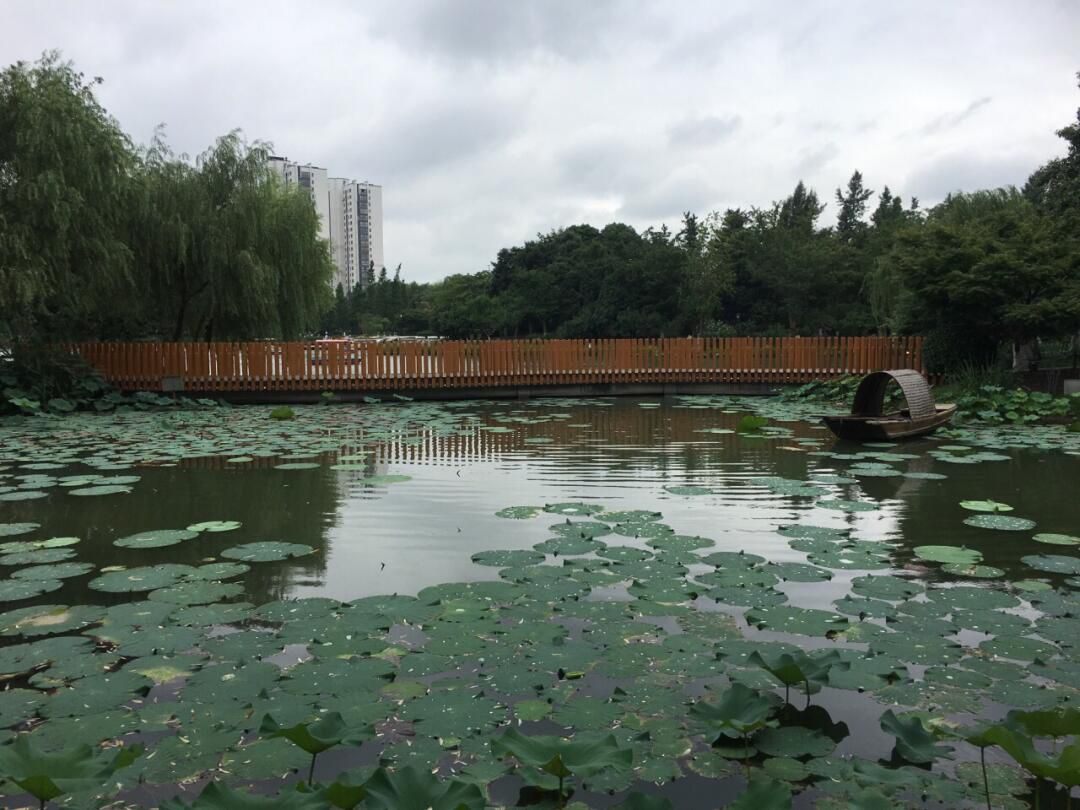 圩墩遗址公园旅行图片 1