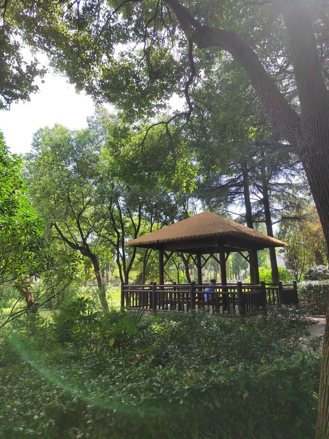 圩墩遗址公园旅行图片 1