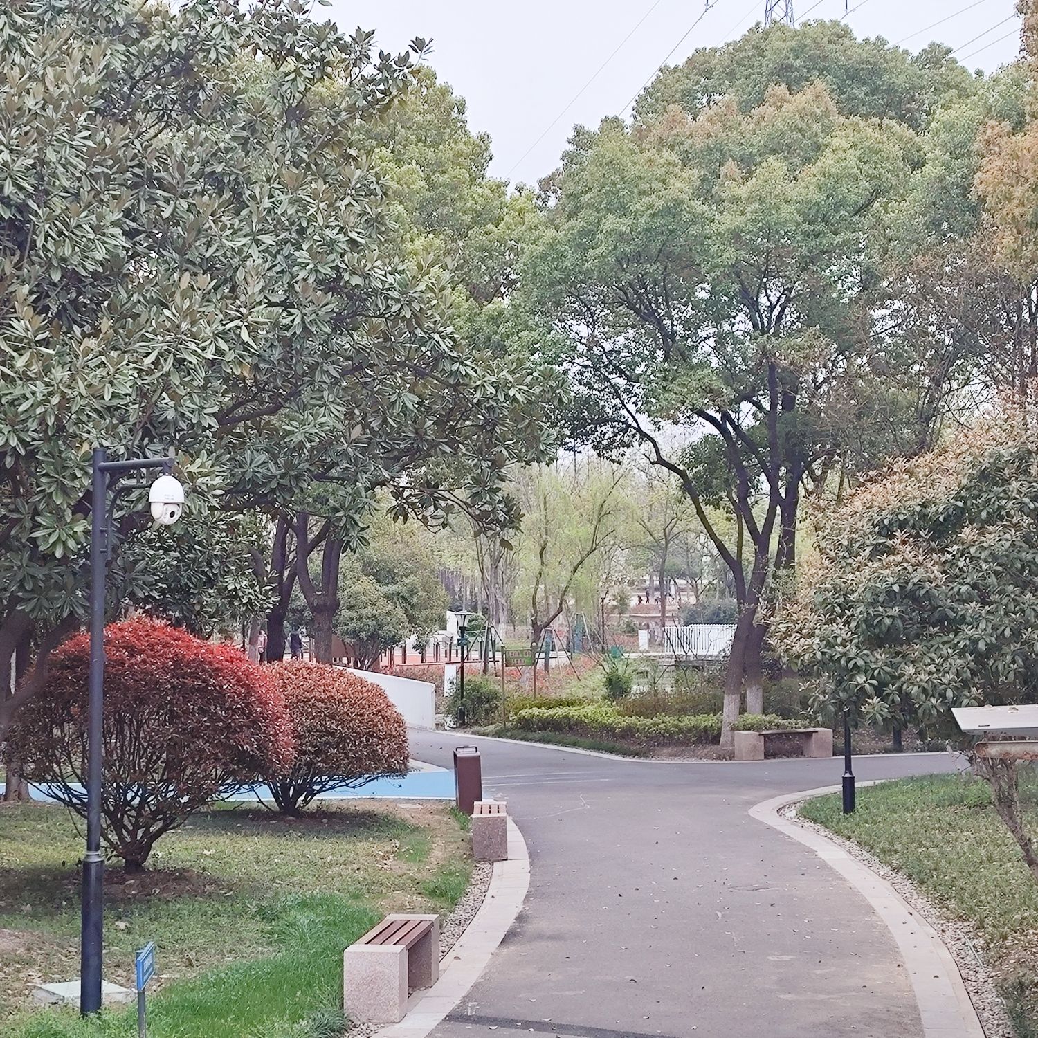 蔷薇园体育公园旅行图片 3