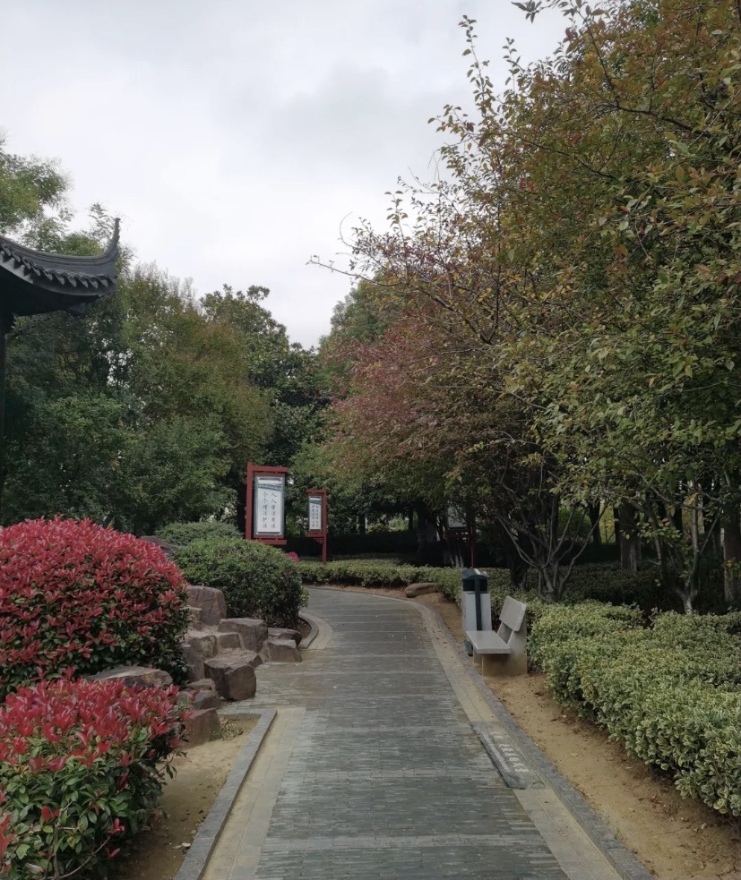奔牛公园旅行图片 2