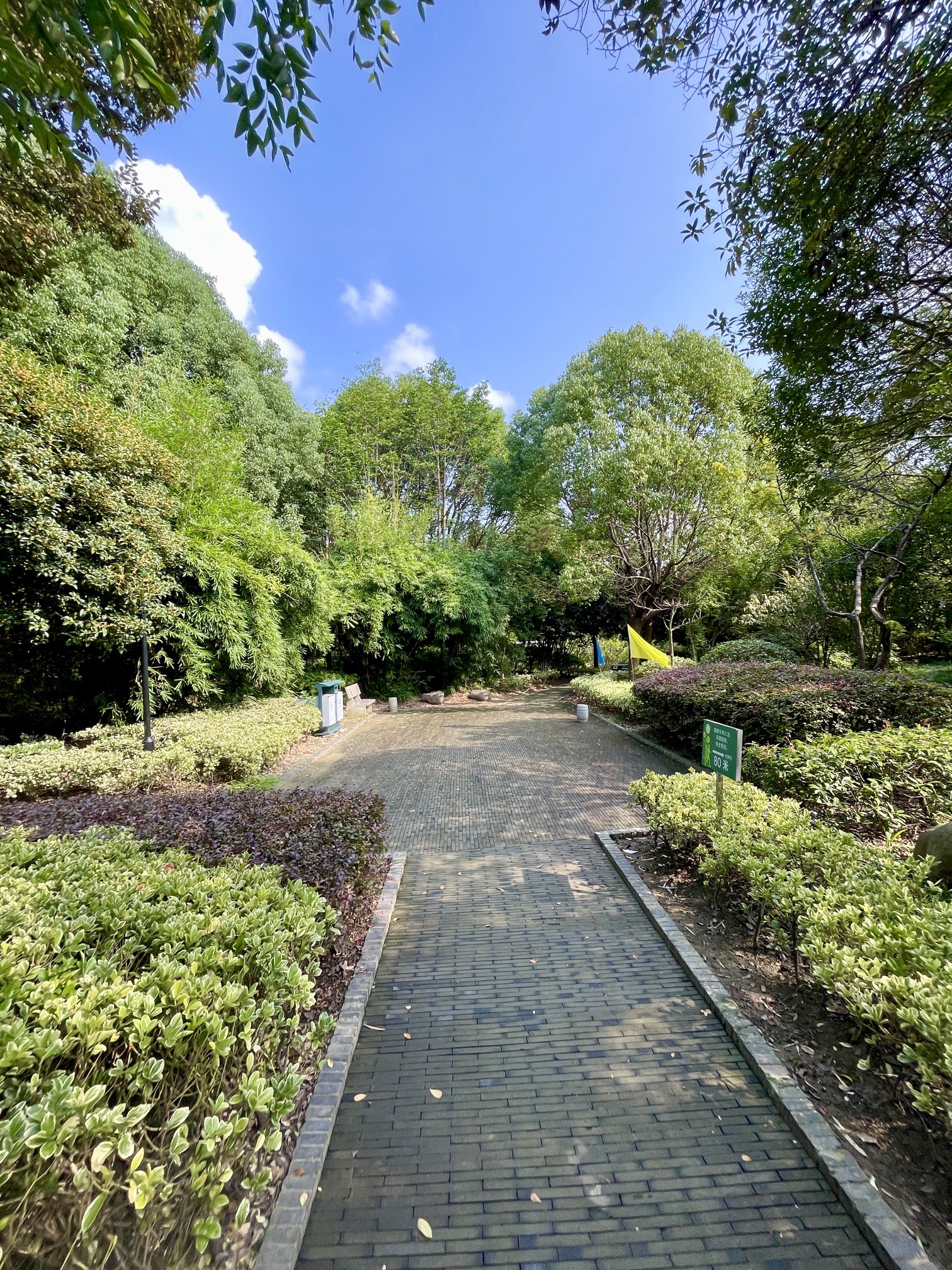 奔牛公园旅行图片 3
