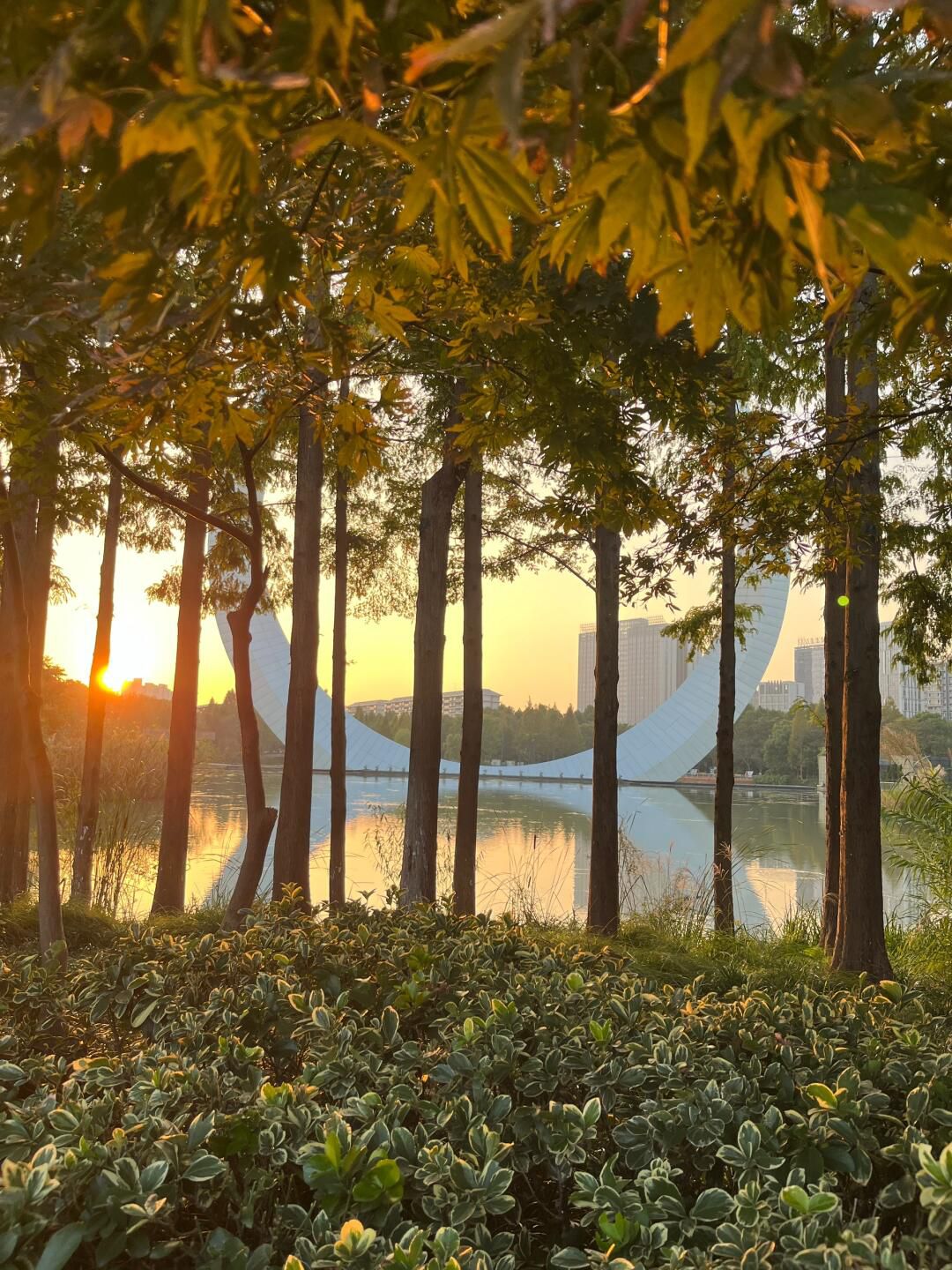 紫荆公园旅行图片 2