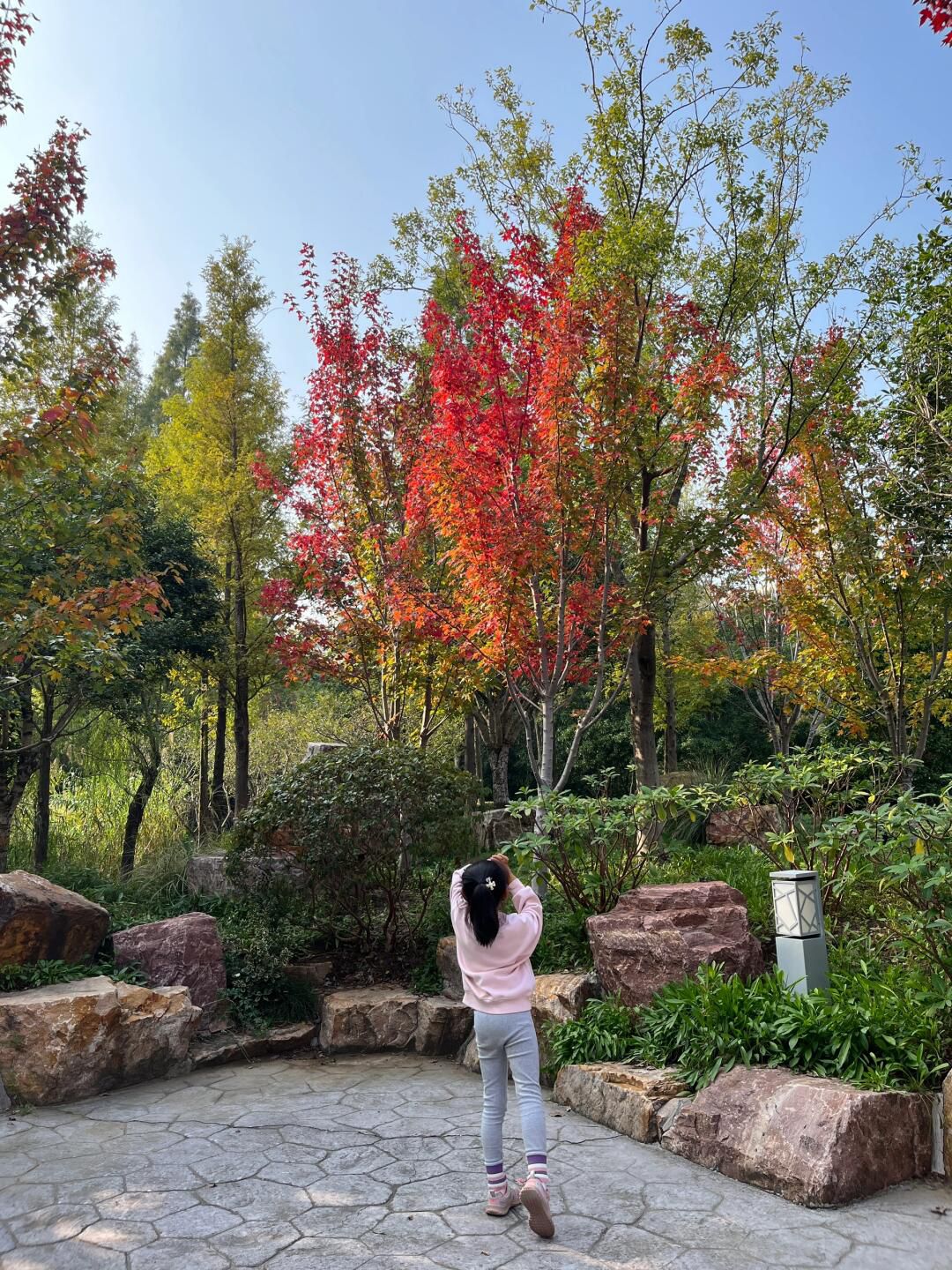 紫荆公园旅行图片 2