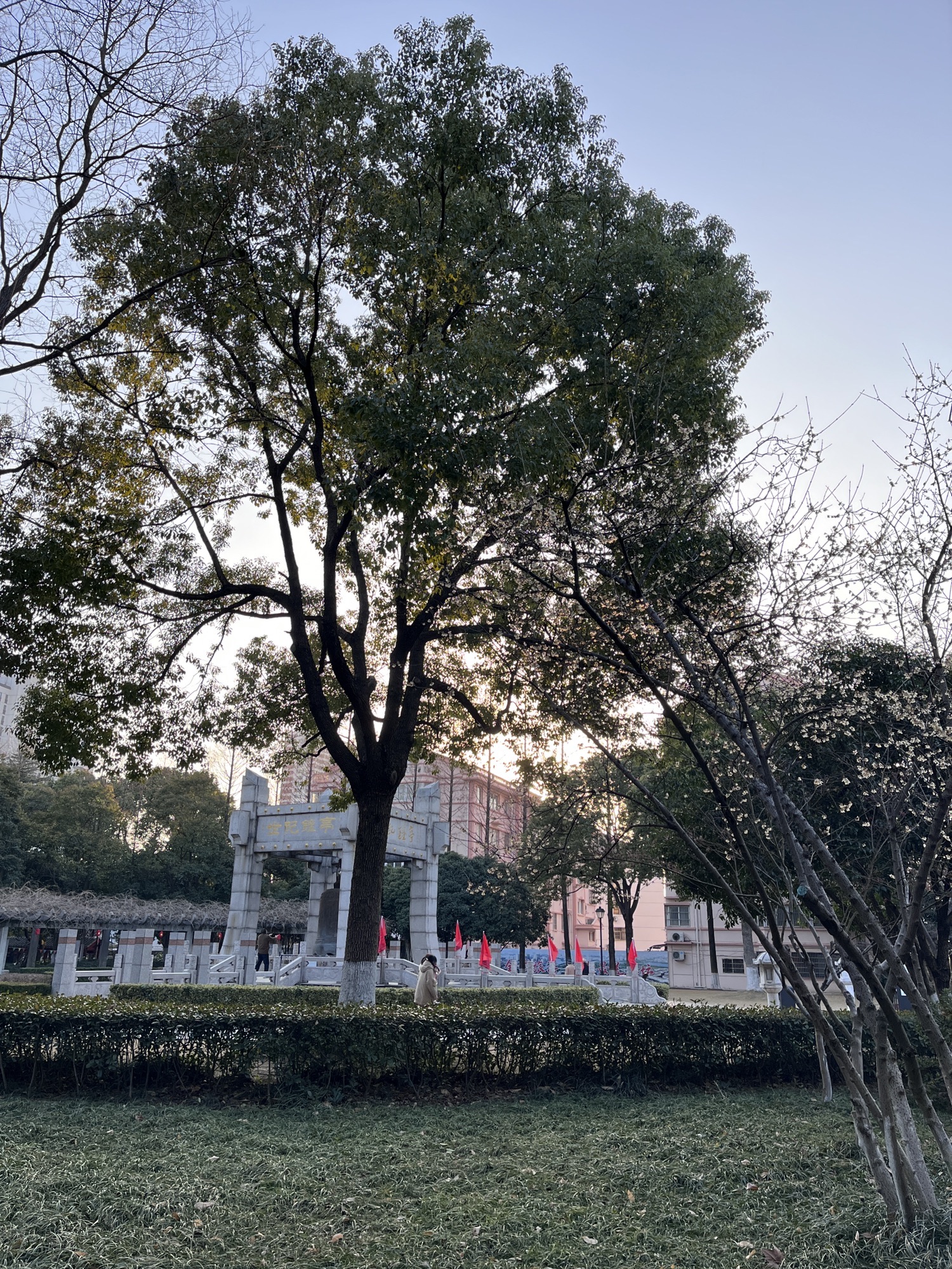 华罗庚公园旅行图片 2