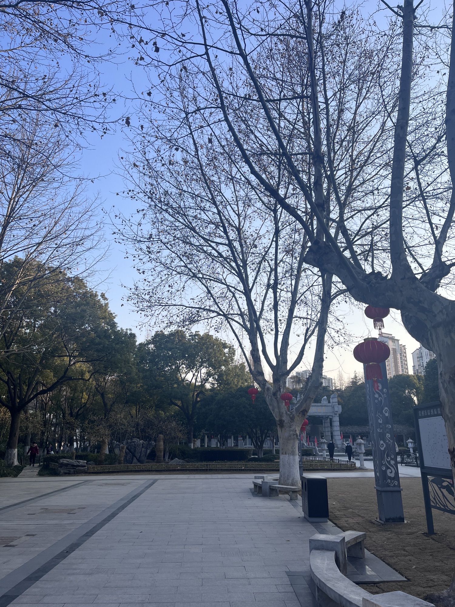 华罗庚公园旅行图片 1