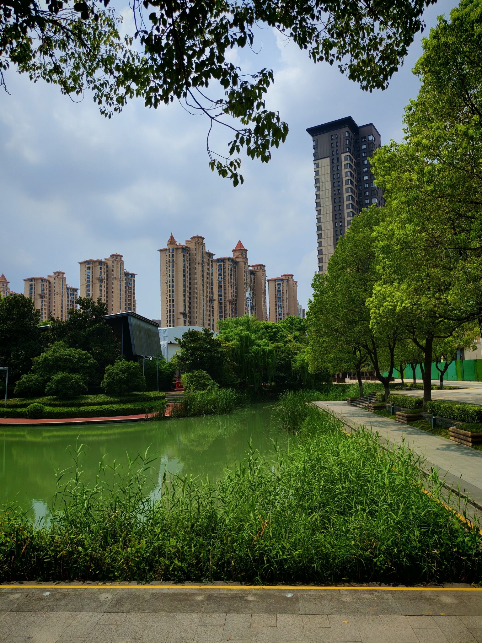 飞龙体育公园旅行图片 1