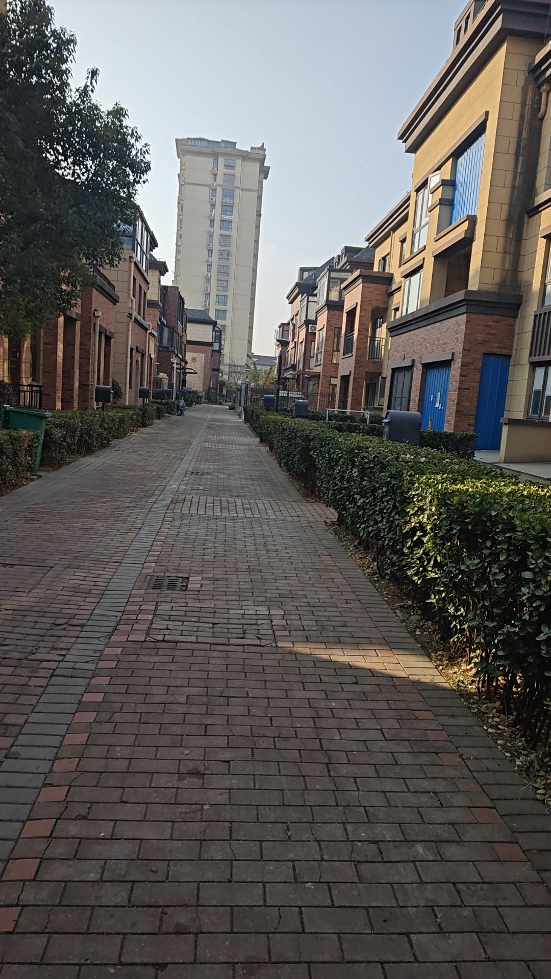 高成天鹅湖(丽华北路)