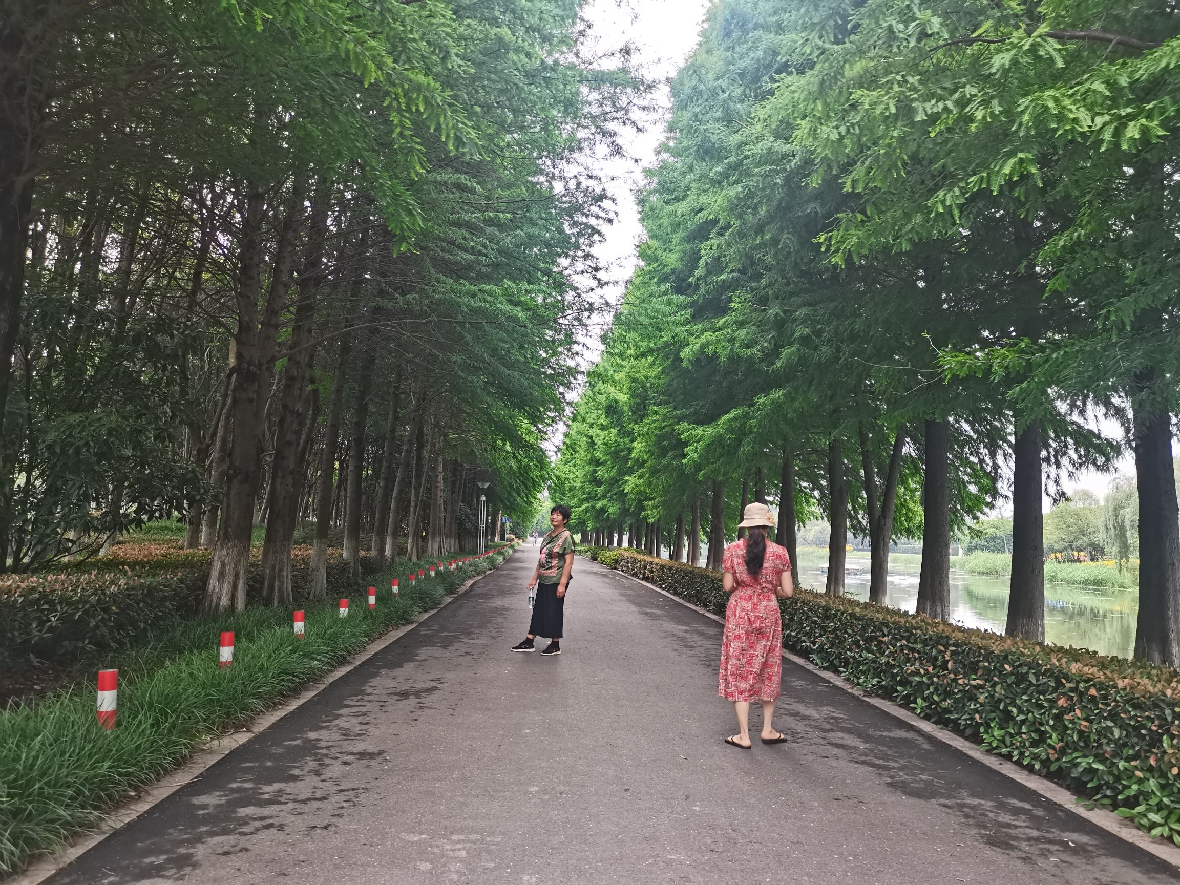 南洲湿地公园旅行图片 3