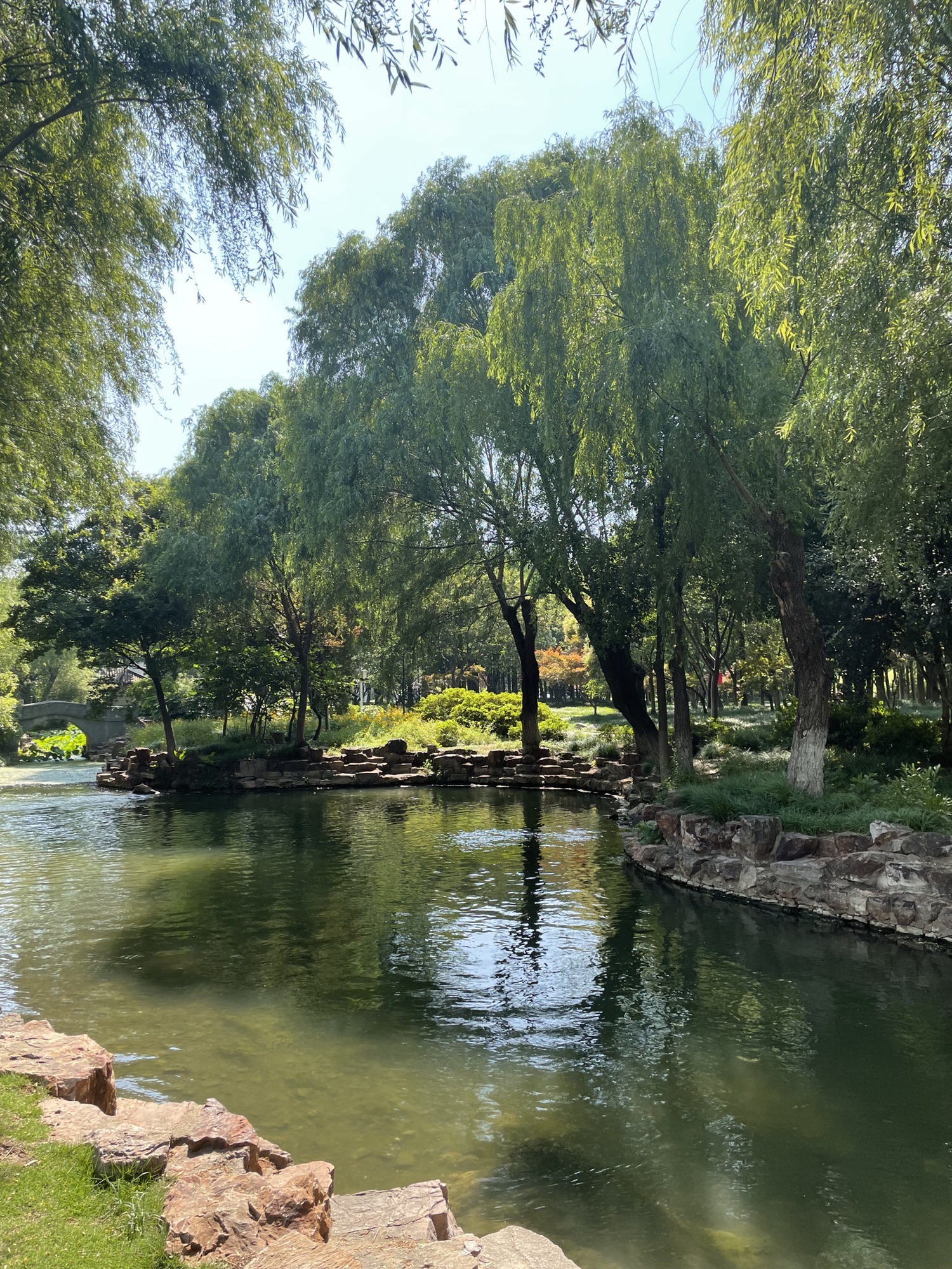 南洲湿地公园旅行图片 1