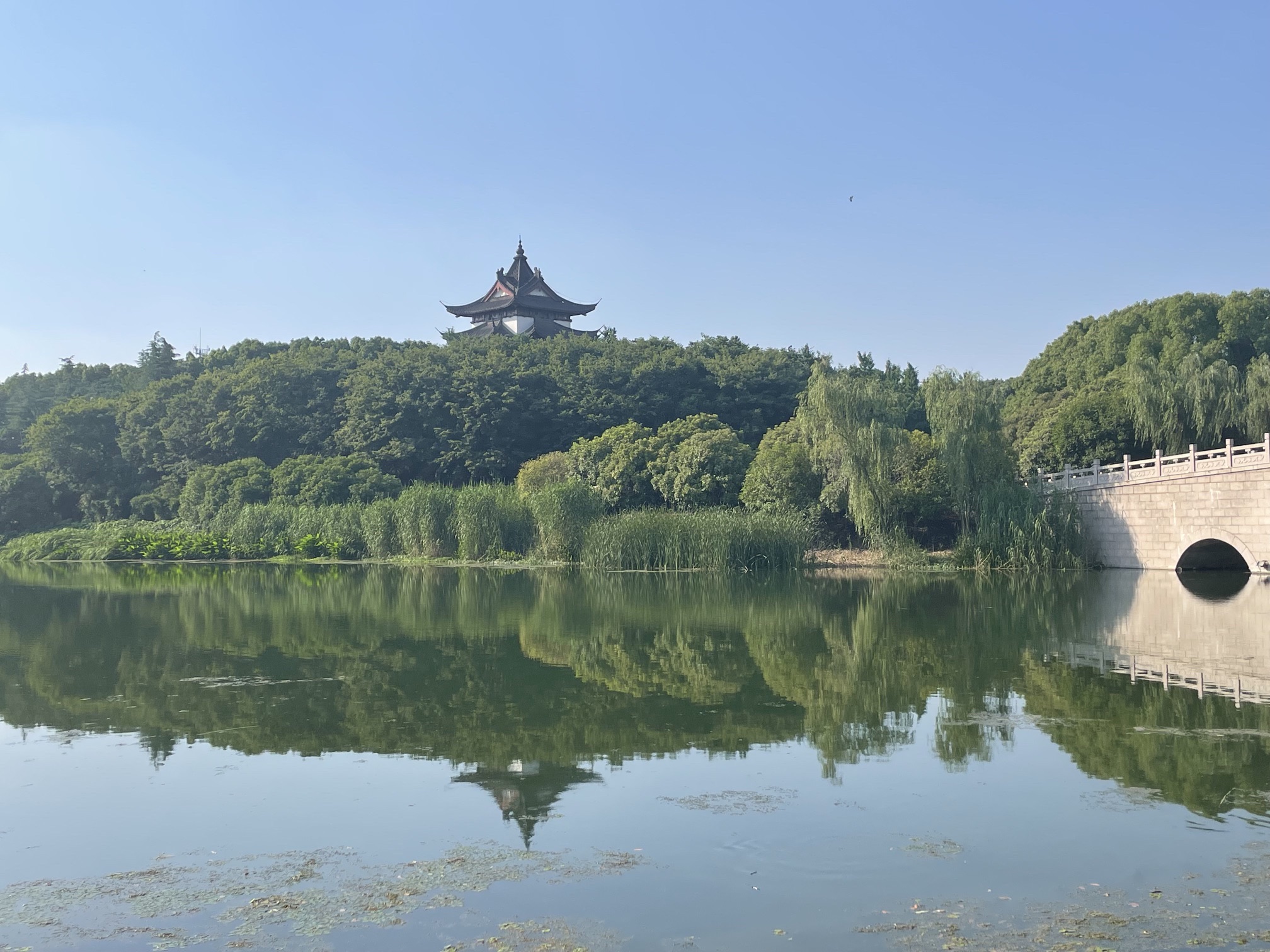 南洲湿地公园旅行图片 3