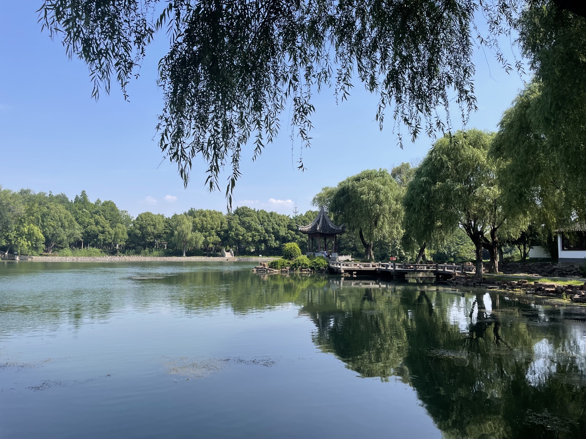 南洲湿地公园旅行图片 2