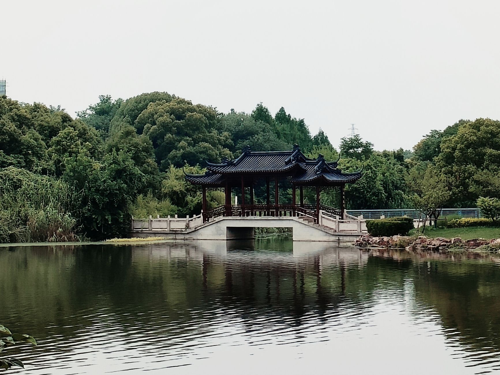 南洲湿地公园旅行图片 2