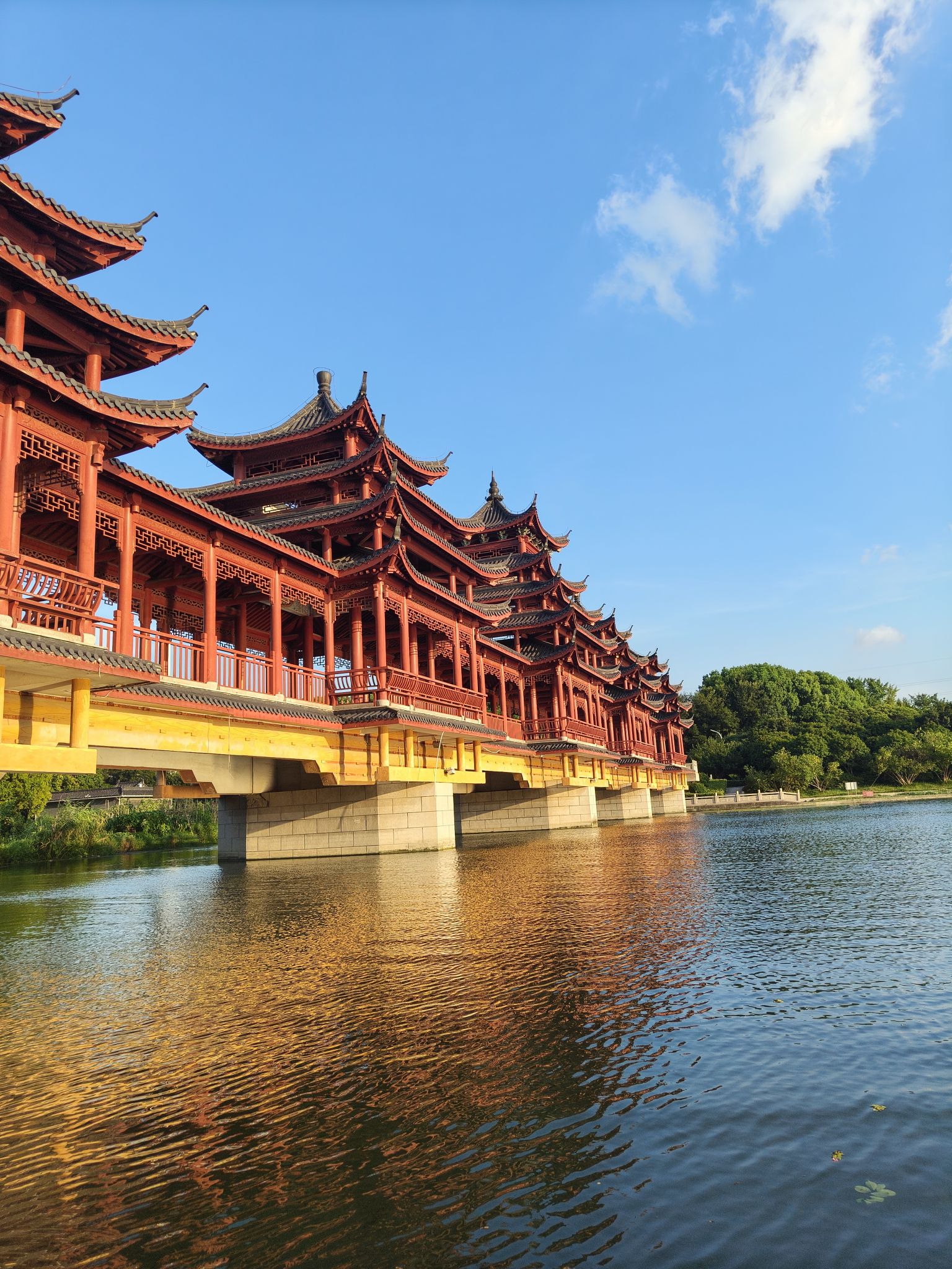 南洲湿地公园旅行图片 2