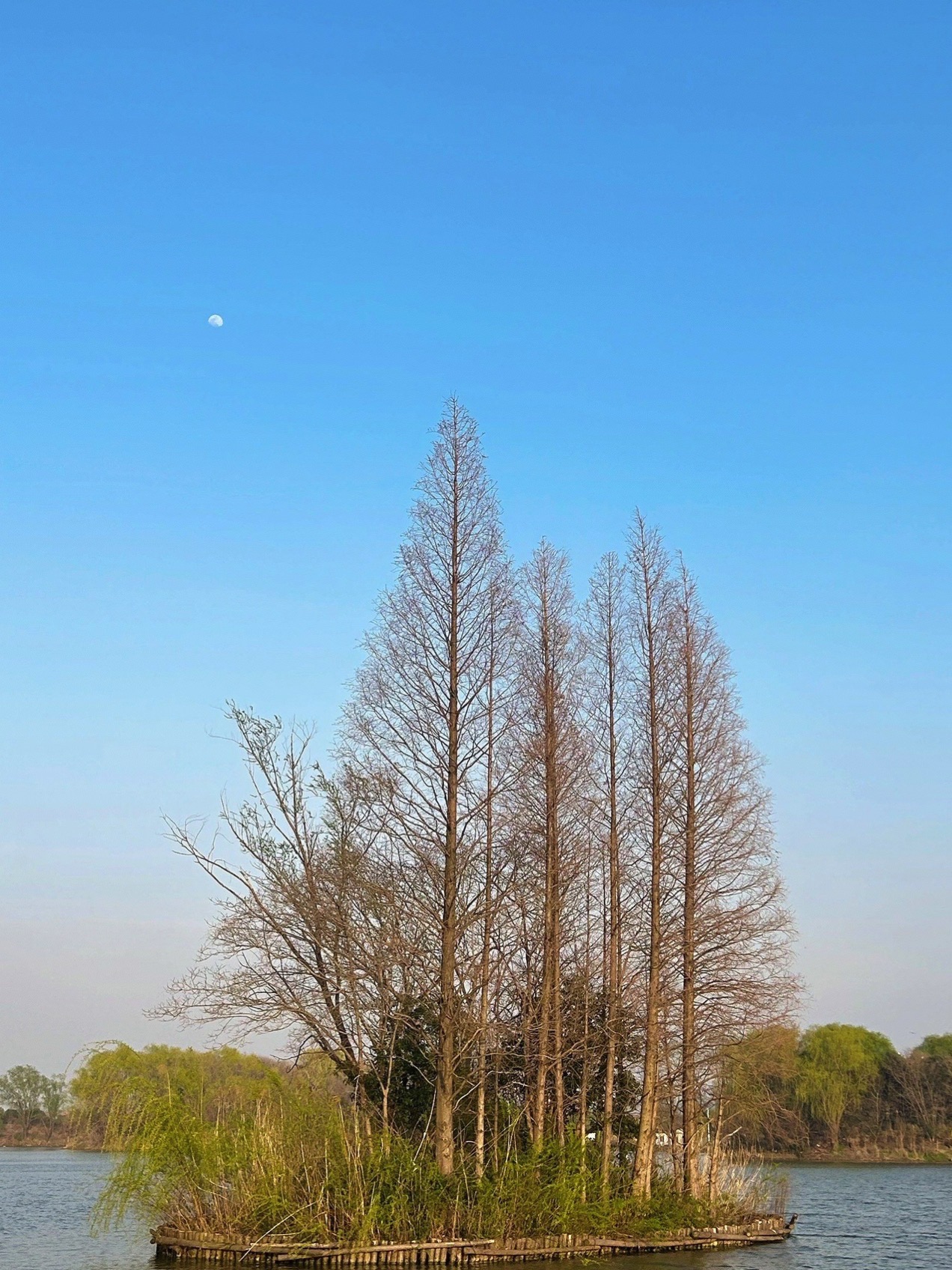宋剑湖生态旅游区旅行图片 2
