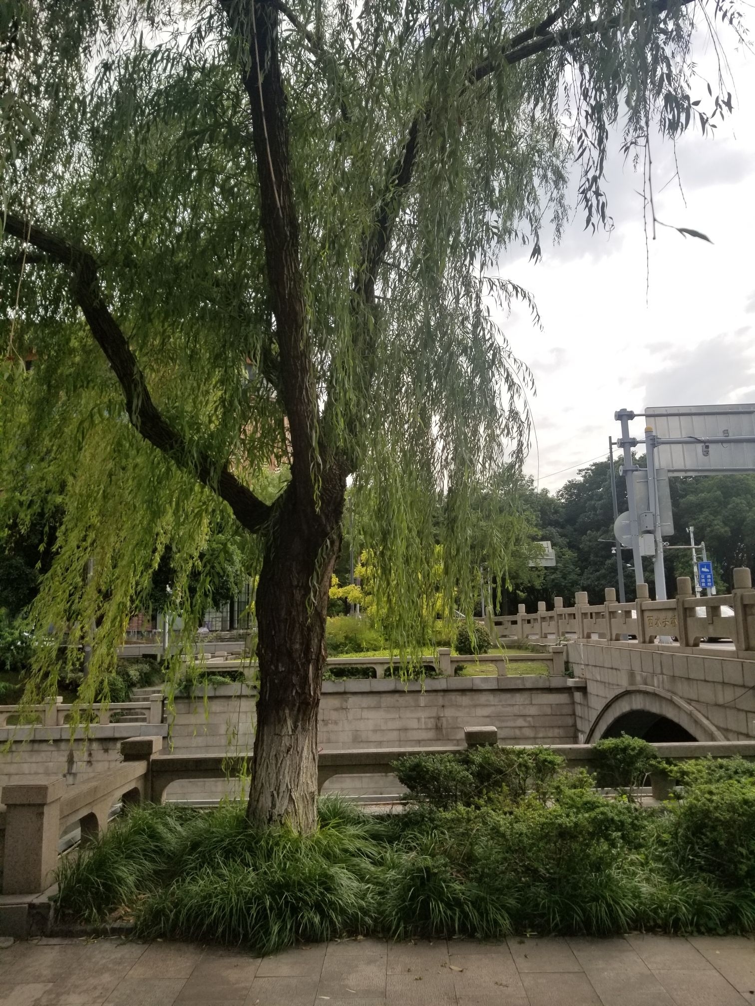 常州古运河南大街文化旅游区旅行图片 3