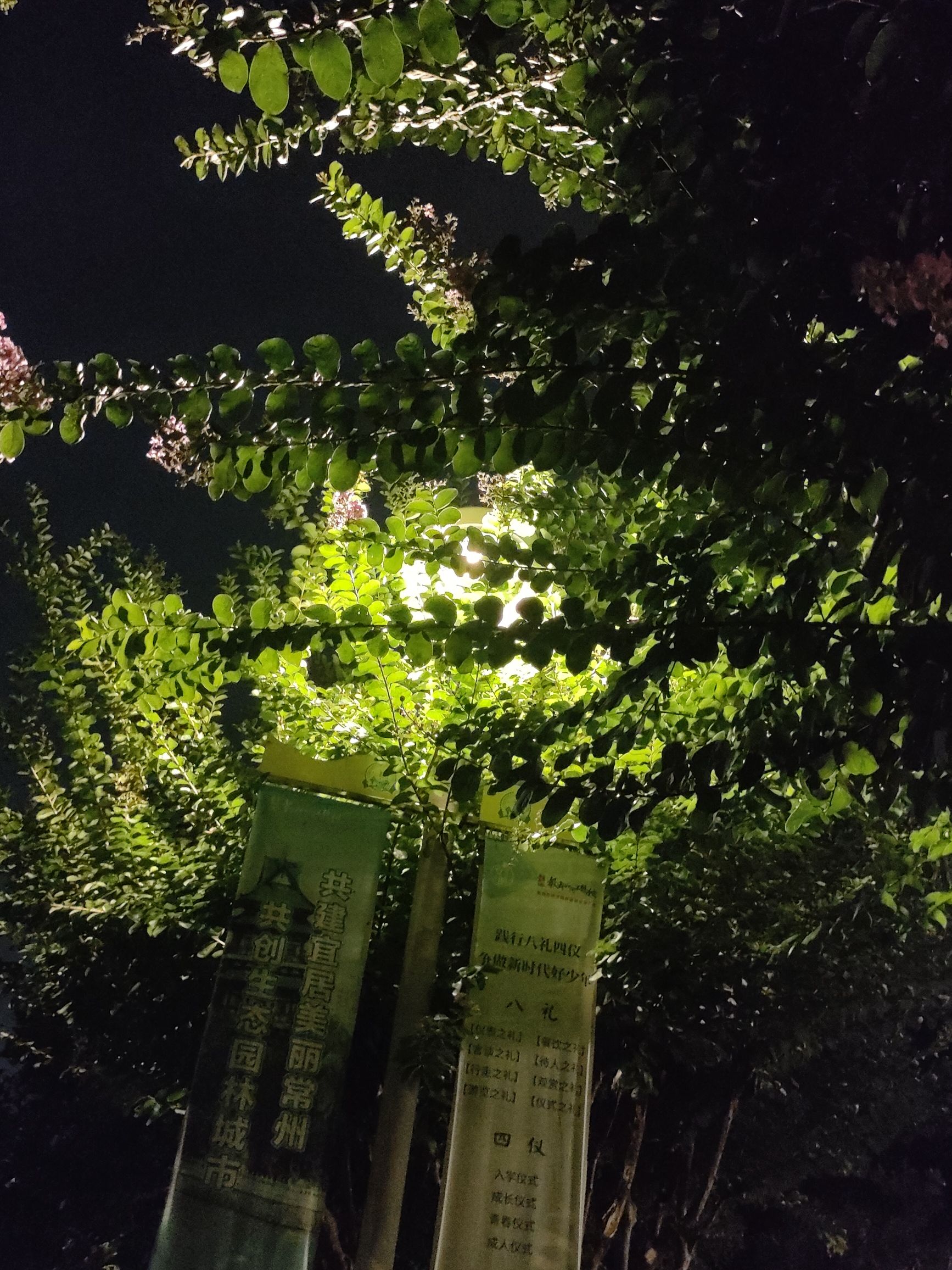 运河五号创意街区旅行图片 2