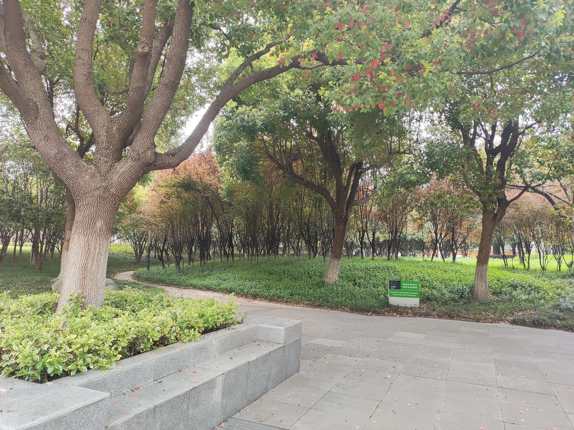 汽车城游园旅行图片 3