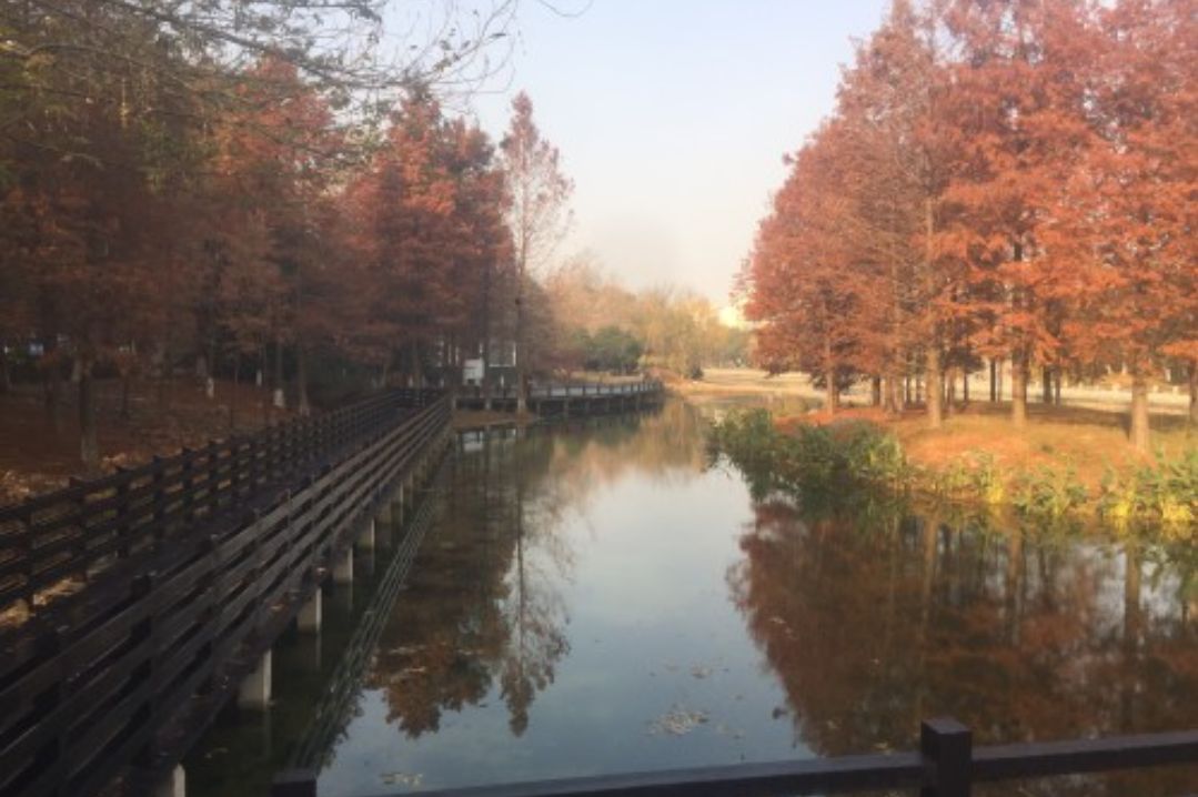 华夏艺博园旅行图片 2