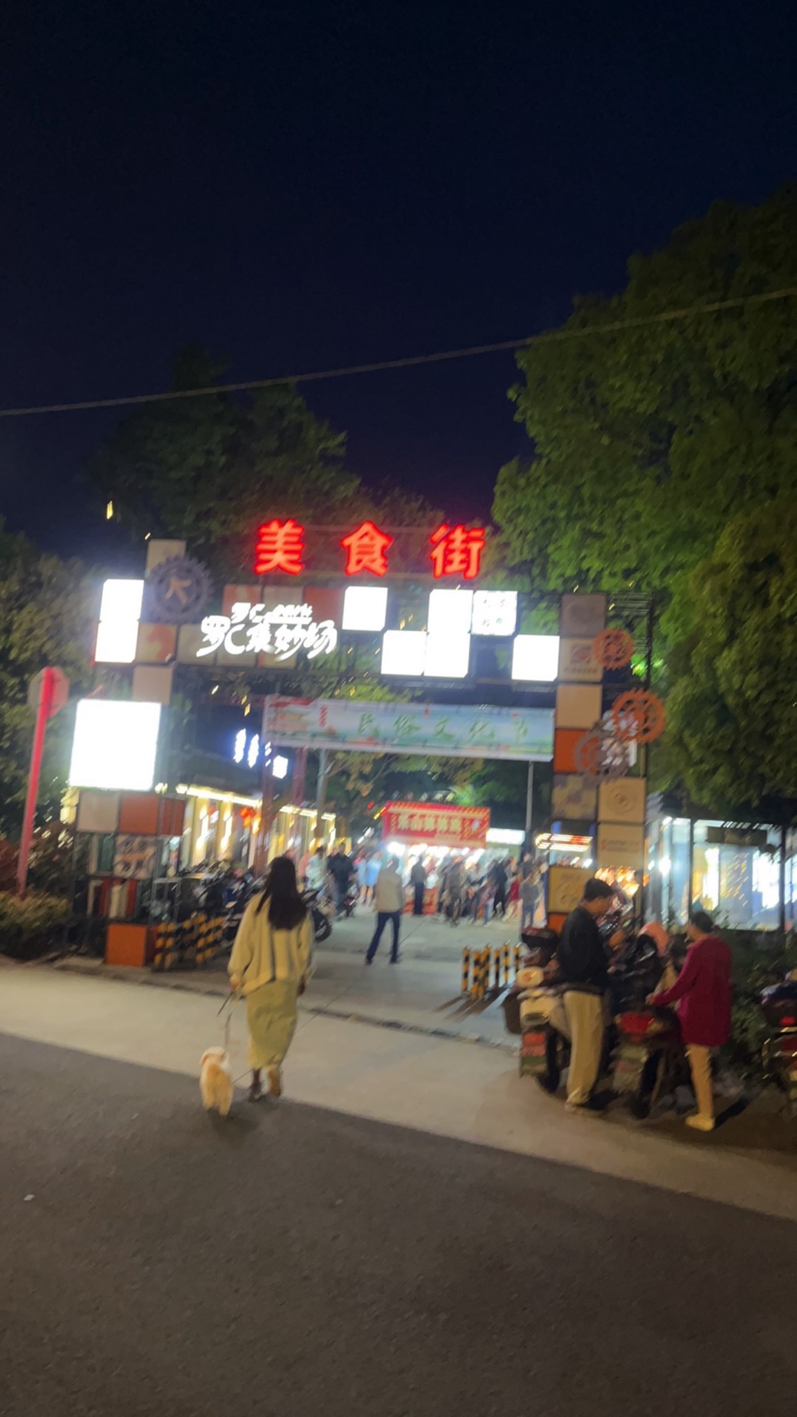 罗C-Park四季夜市公园旅行图片 1