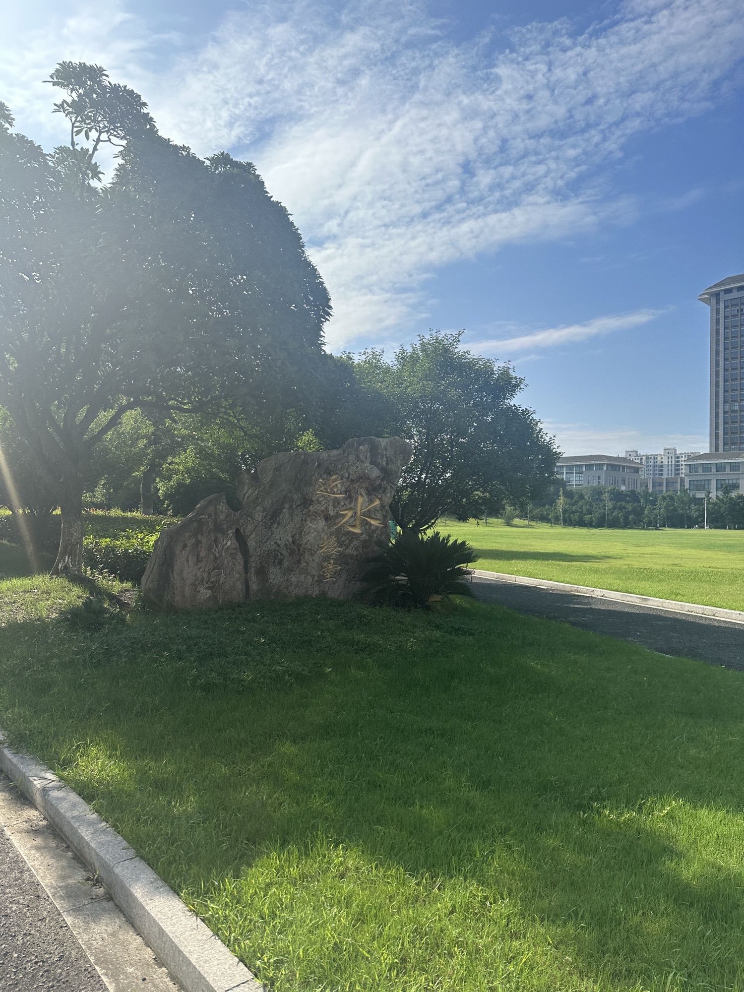 天琴湖公园旅行图片 1