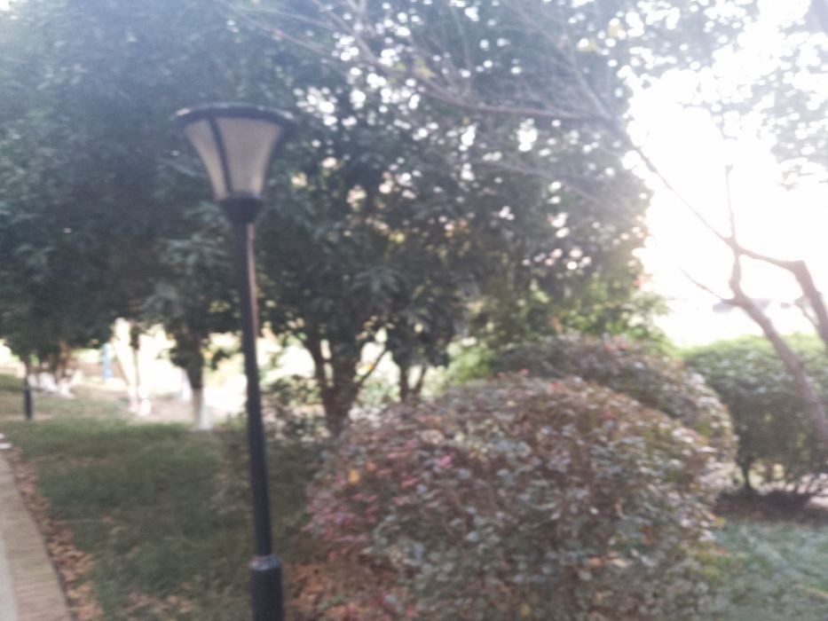 天琴湖公园旅行图片 3