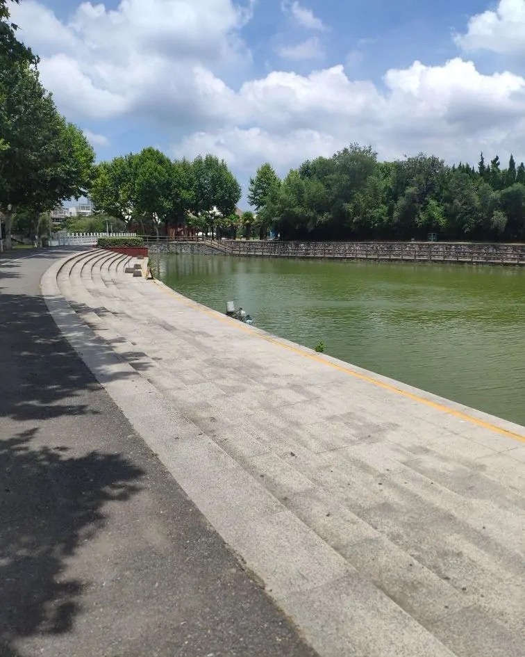 泰兴公园旅行图片 2