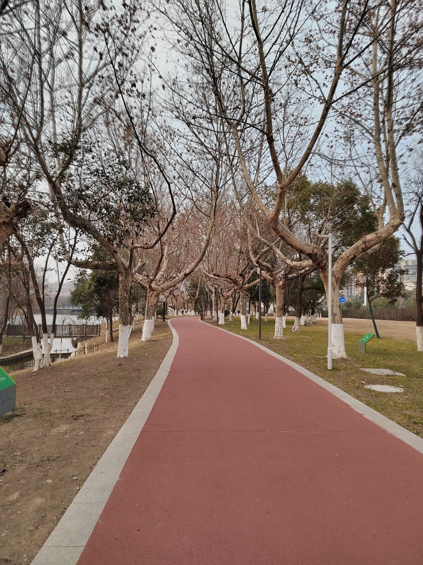 泰兴公园旅行图片 1