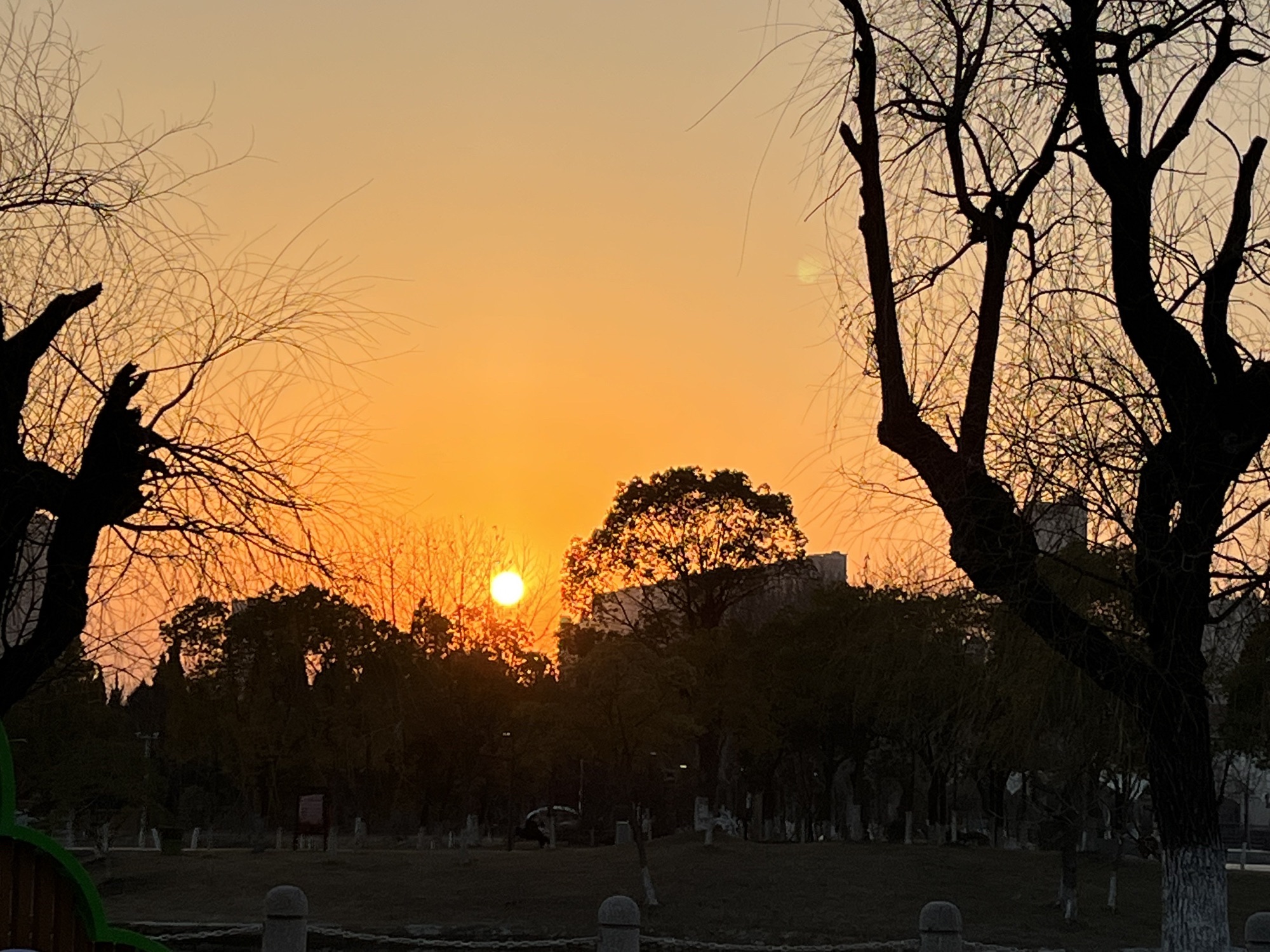 泰兴公园旅行图片 3