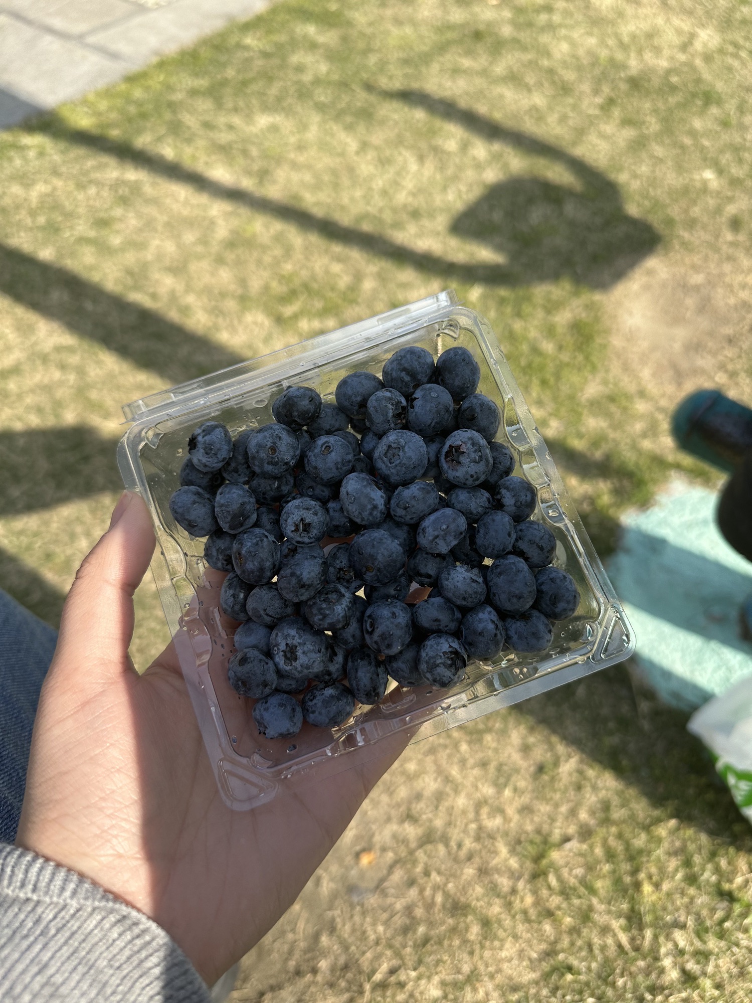 兴化市人民公园旅行图片 3