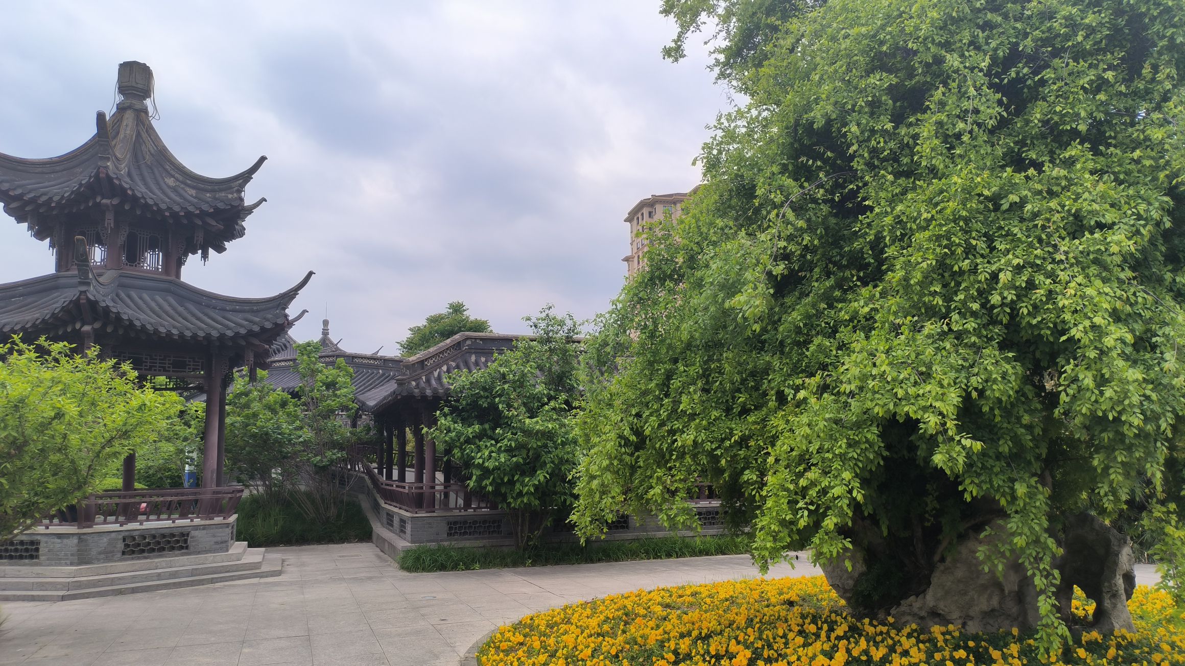 百水园旅行图片 3