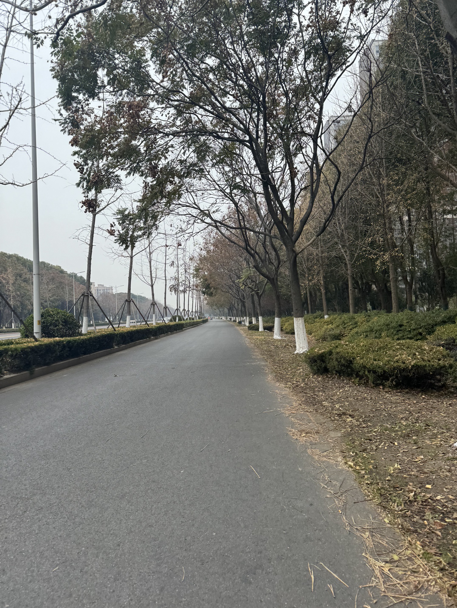 泰州市塘湾小学