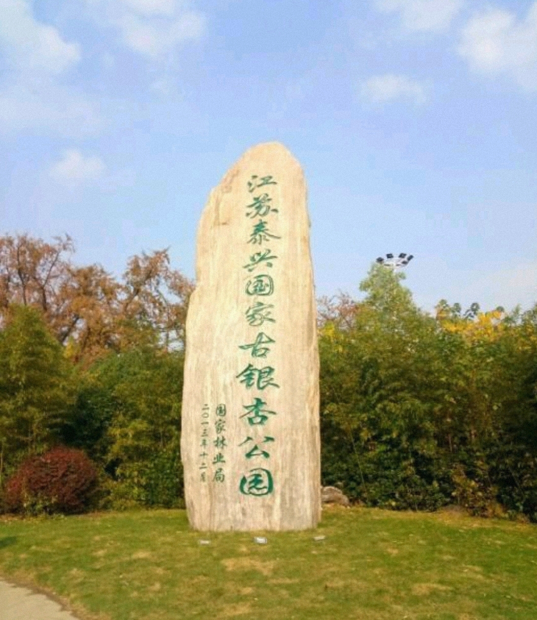泰兴银杏公园旅行图片 1