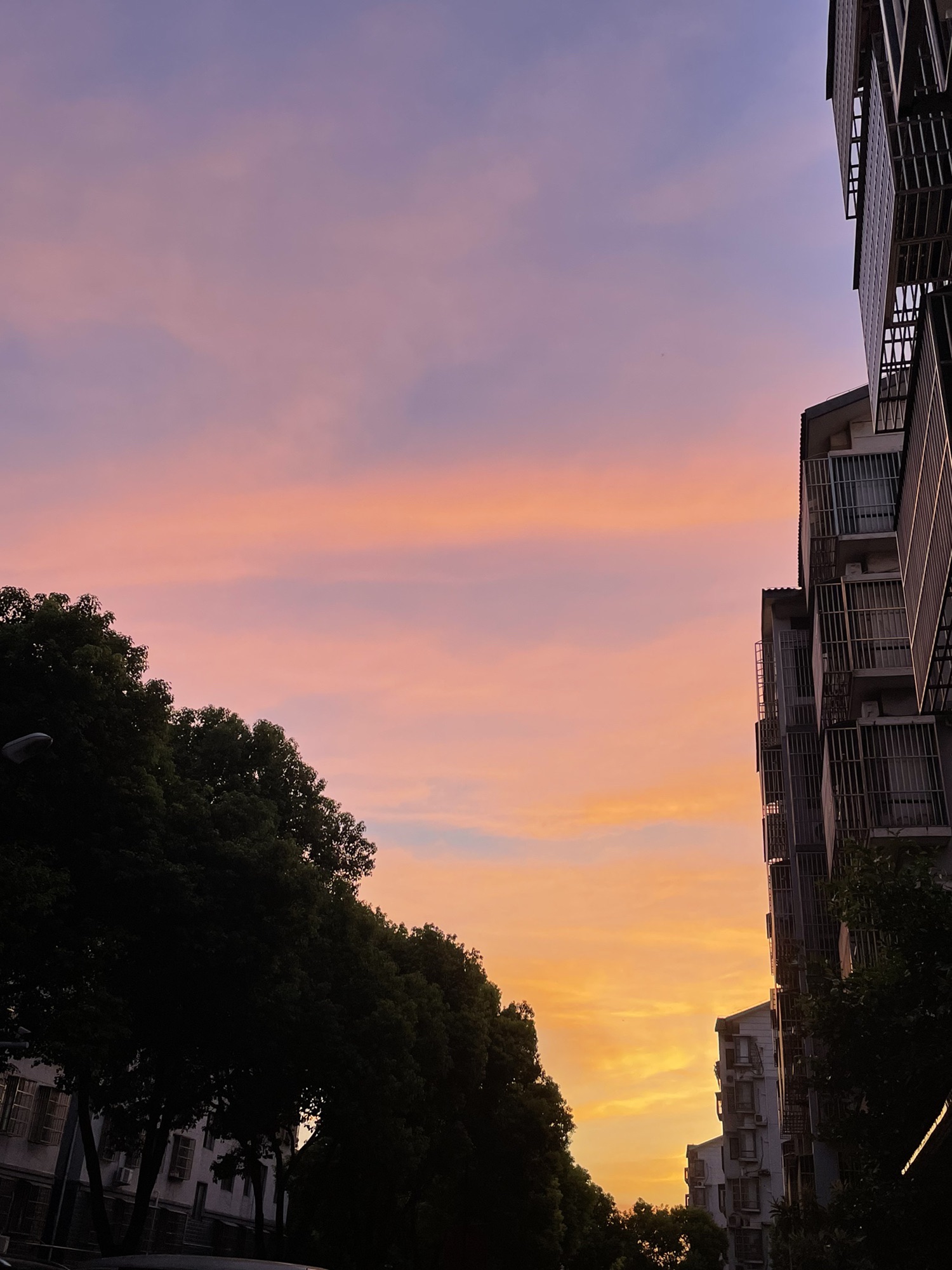 靖江人民公园旅行图片 2