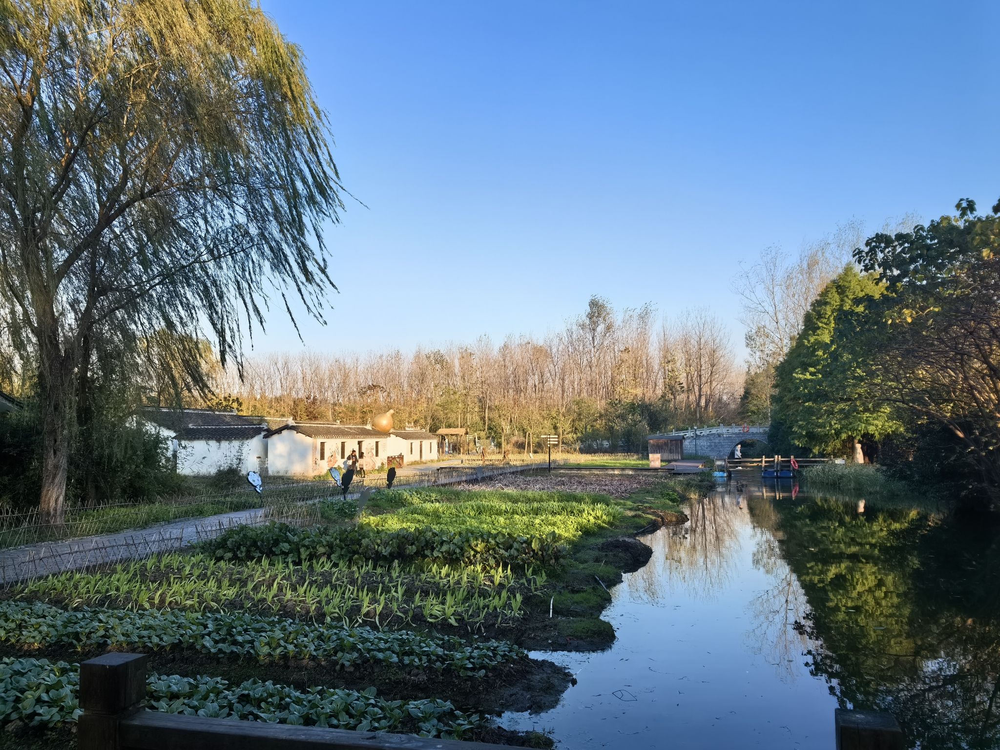 溱湖国家湿地公园旅行图片 1