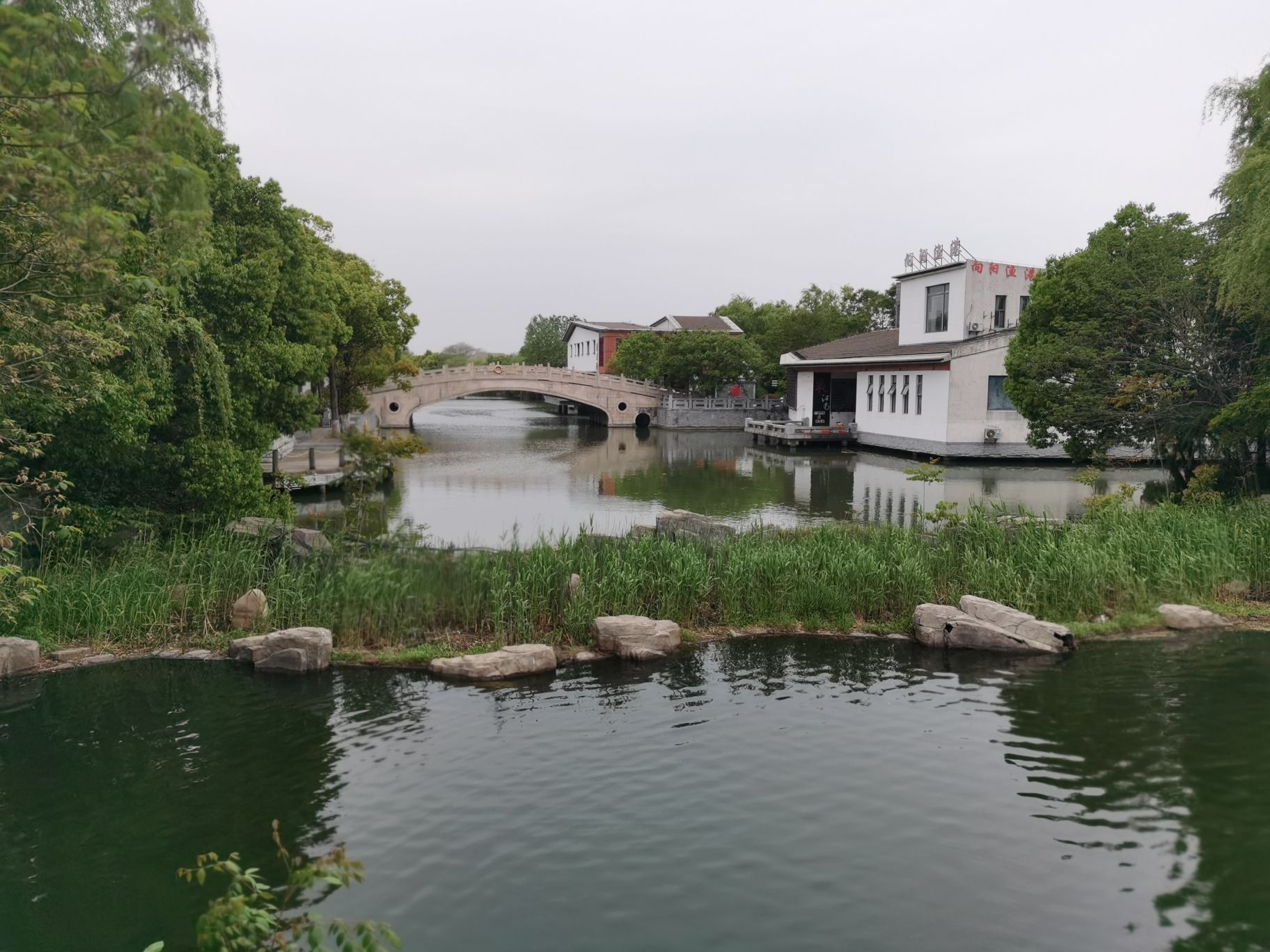 溱湖国家湿地公园旅行图片 1