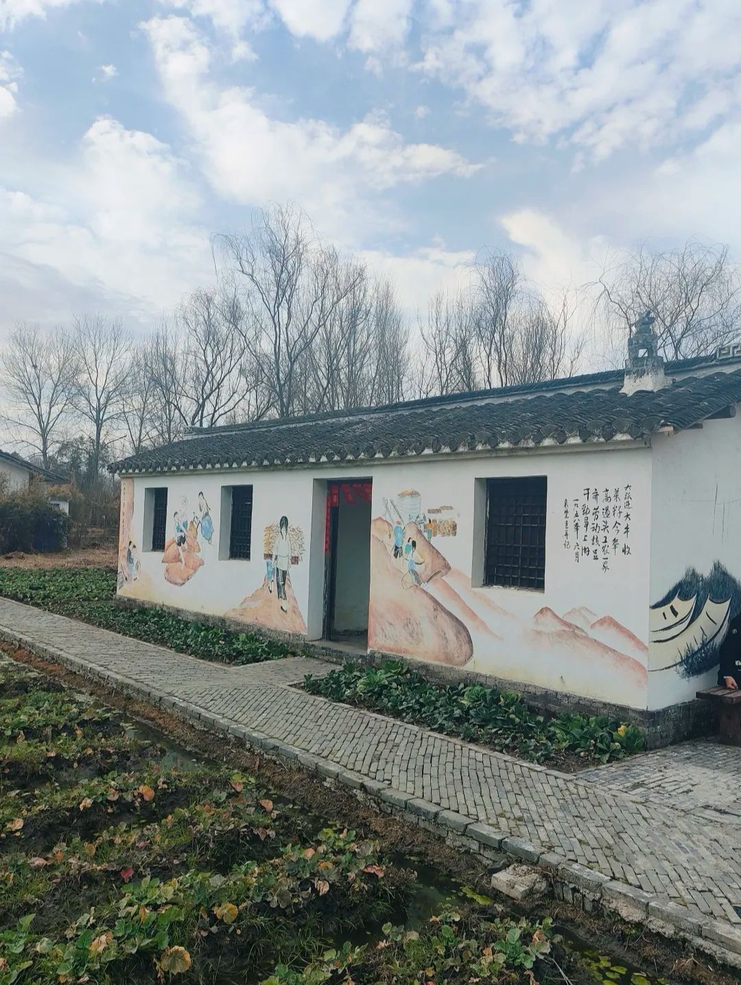 溱湖国家湿地公园旅行图片 2