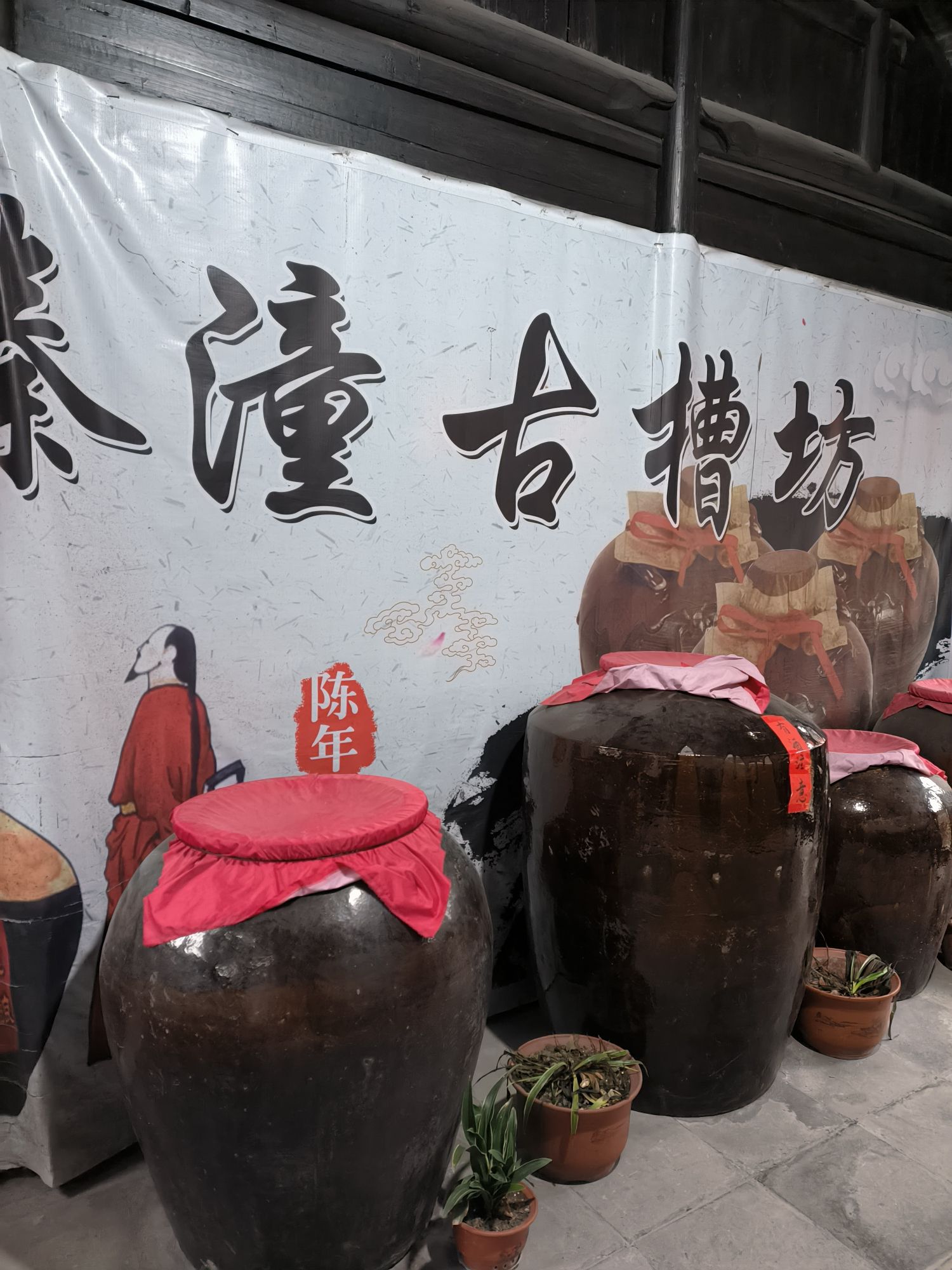 溱潼古镇旅游区旅行图片 3