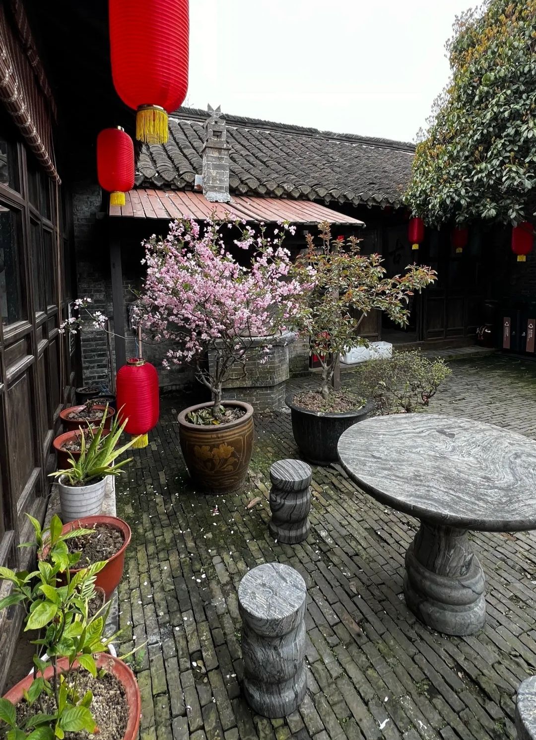 溱潼古镇旅游区旅行图片 1