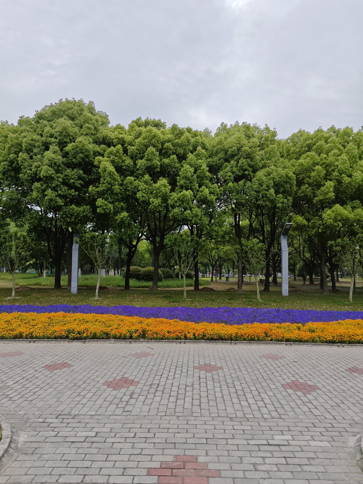 人民广场旅行图片 3