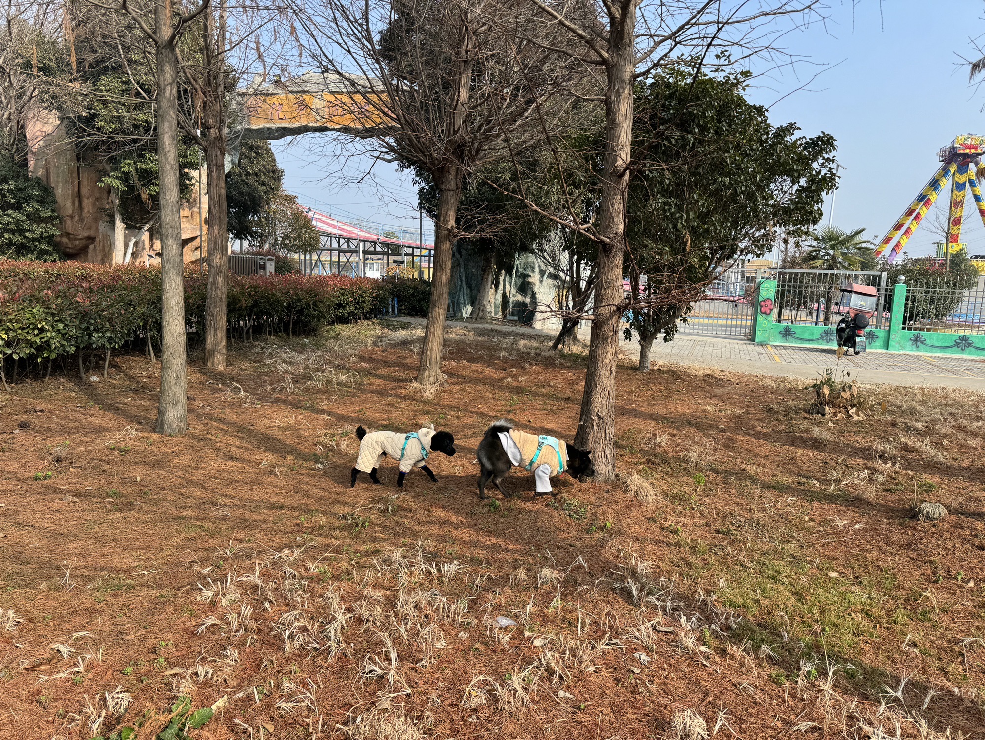 乌巾荡公园旅行图片 1