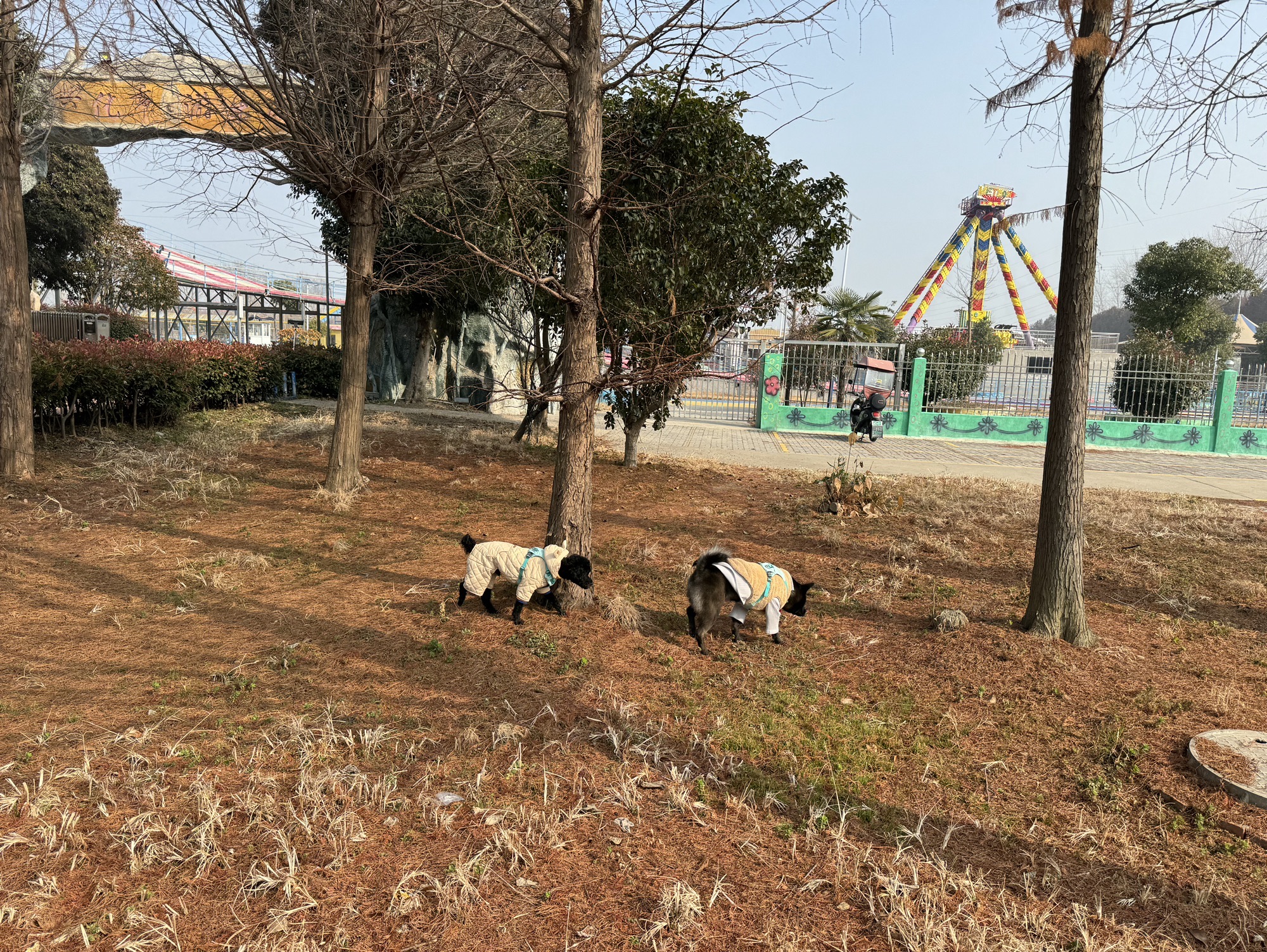 乌巾荡公园旅行图片 2