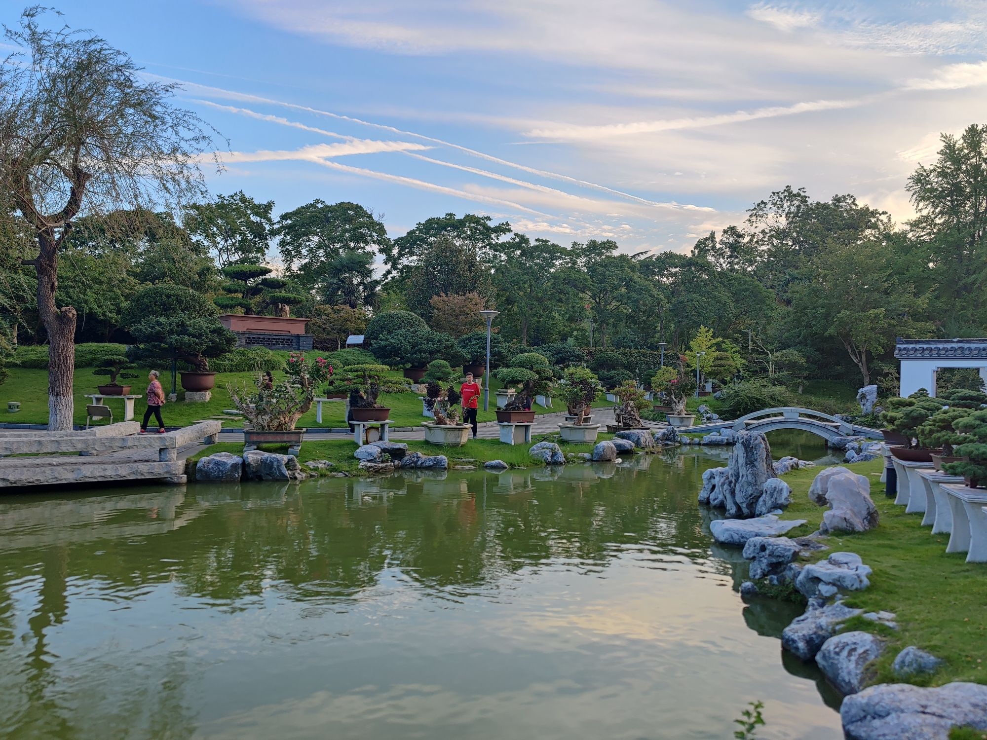 泰山公园旅行图片 3