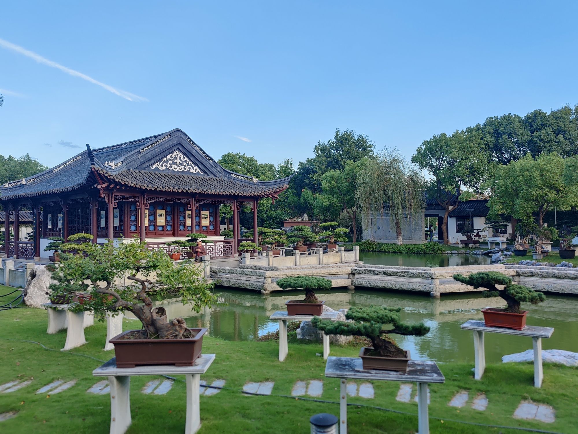 泰山公园旅行图片 2