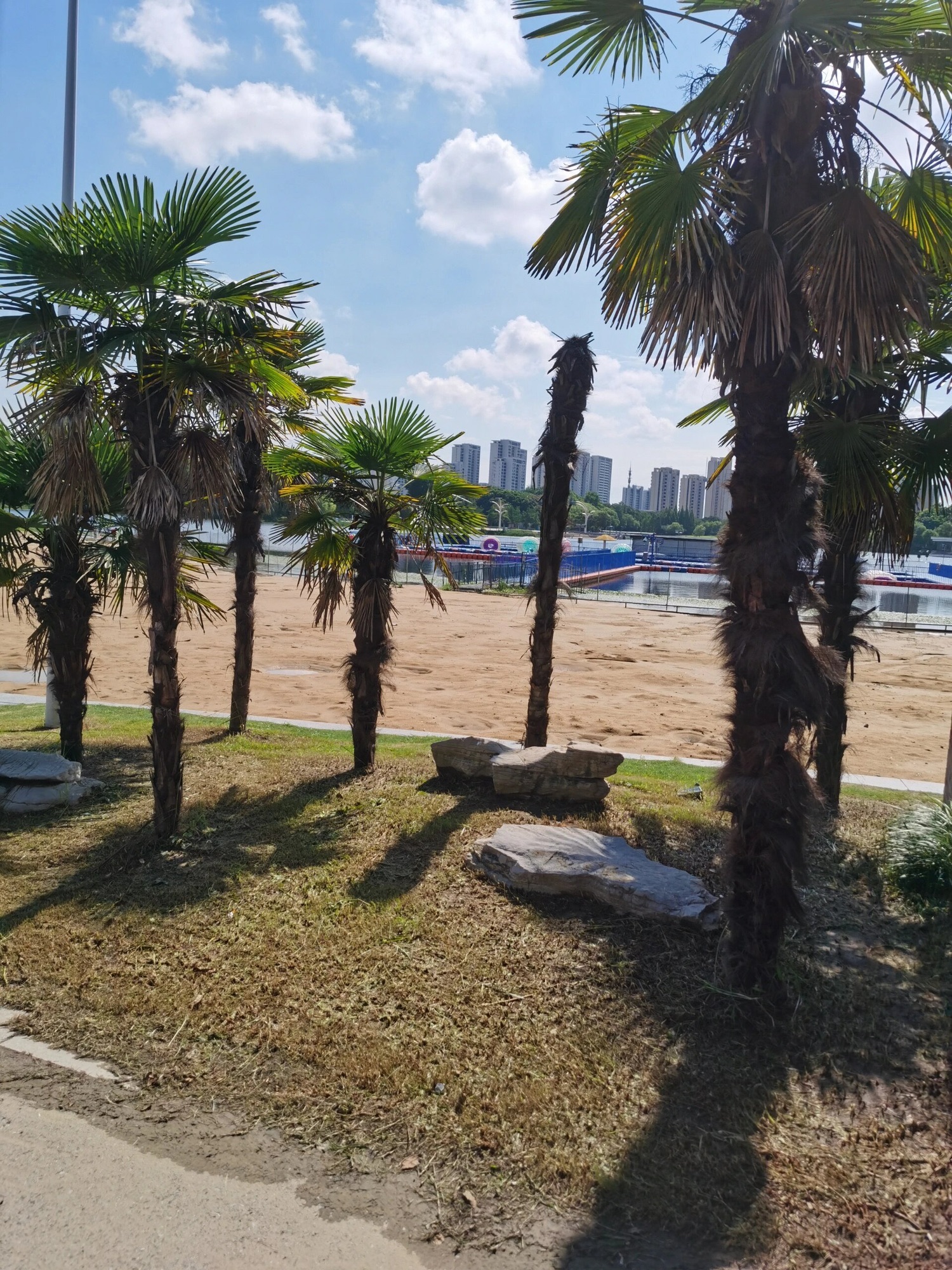 天德湖公园旅行图片 1