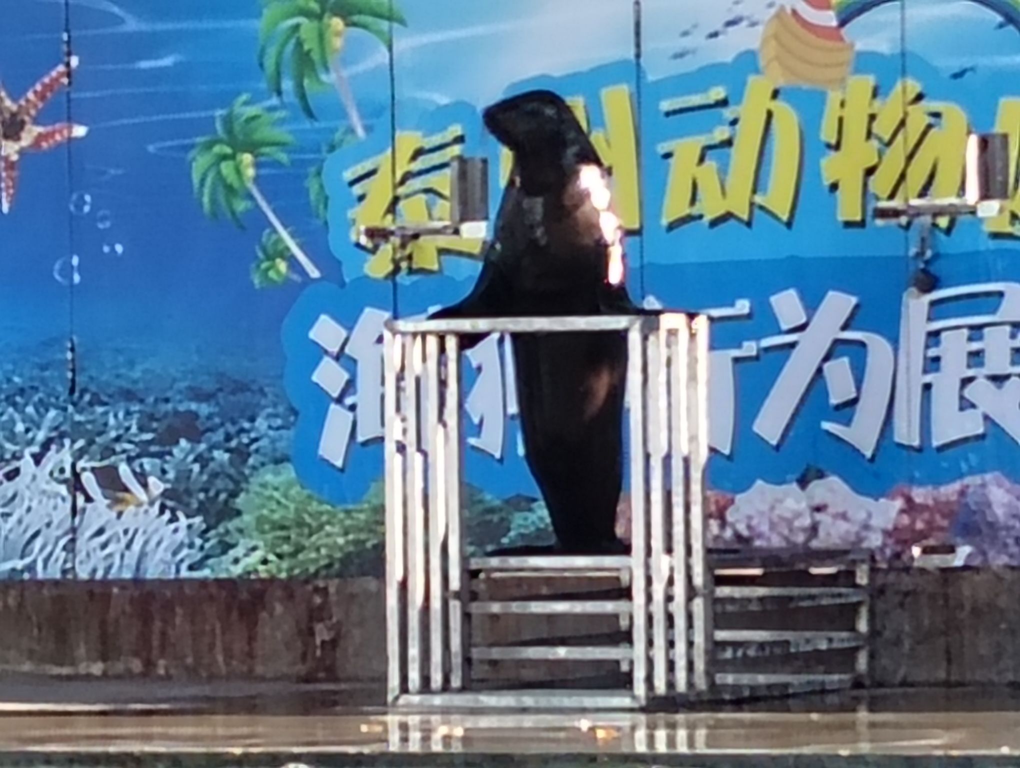 泰州动物园旅行图片 2