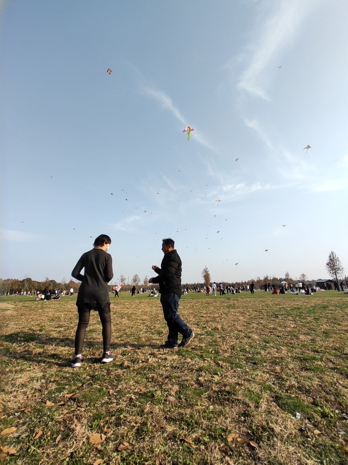 马洲公园旅行图片 3
