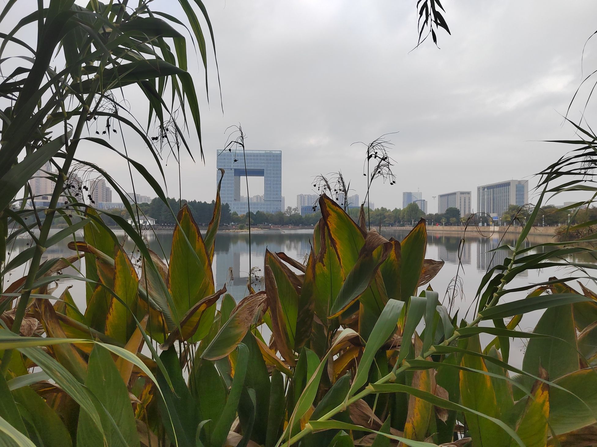 马洲公园旅行图片 3