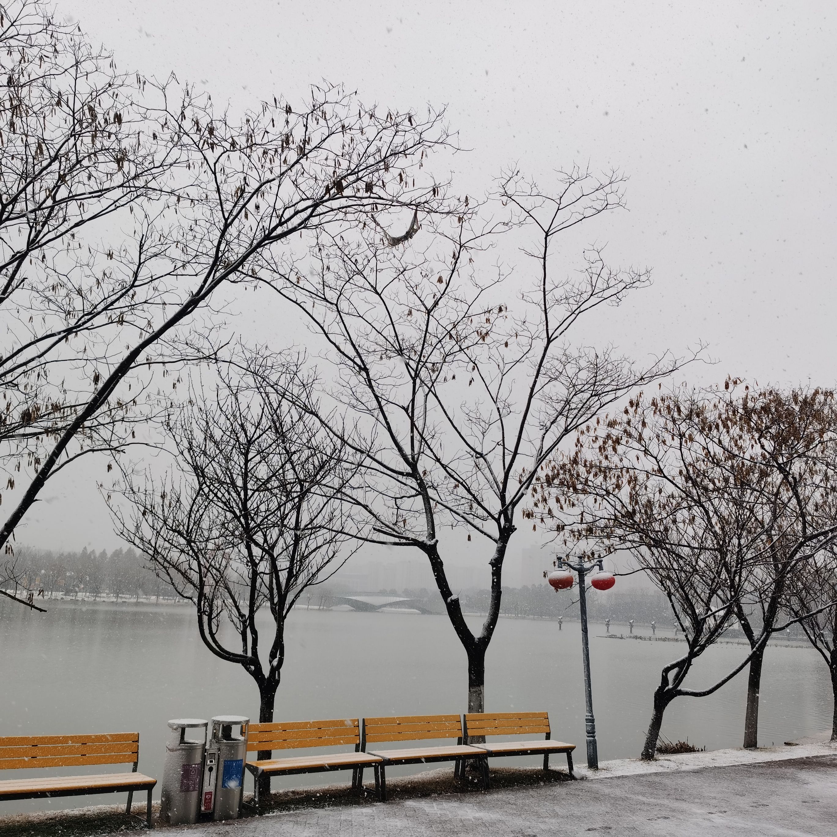 马洲公园旅行图片 3