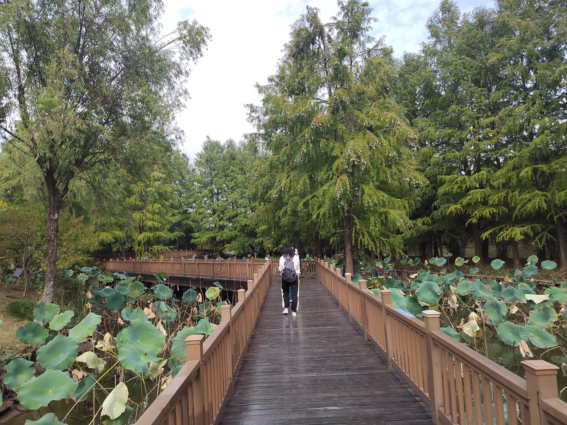 马洲公园旅行图片 1