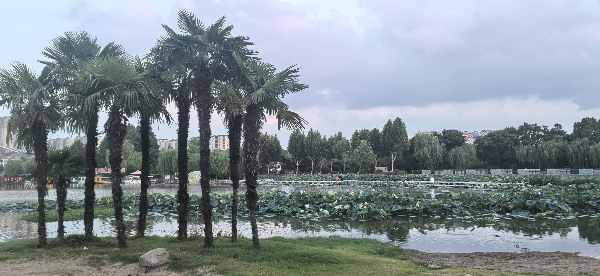 马洲公园旅行图片 2